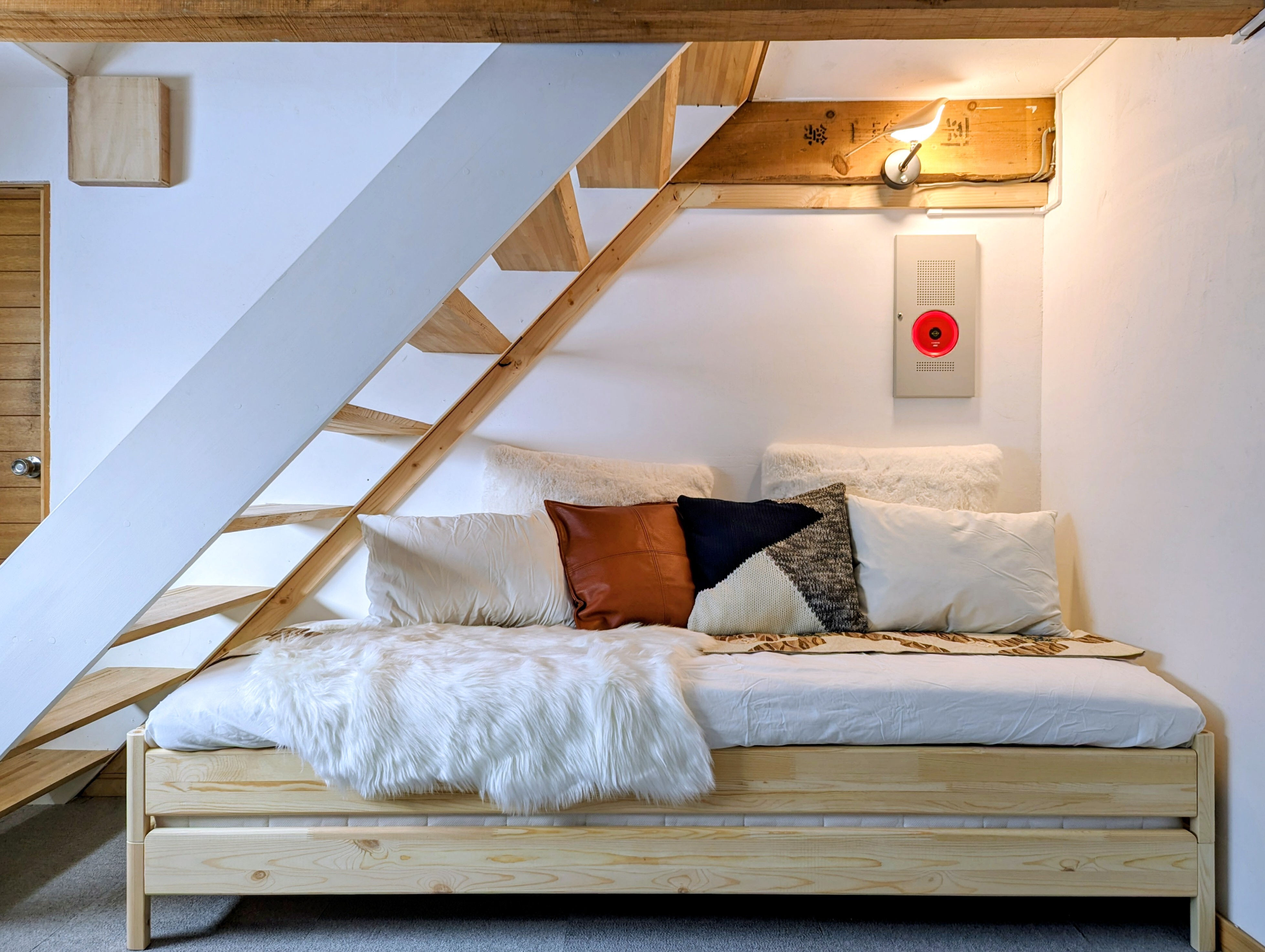 PXL 20231212 0200162312