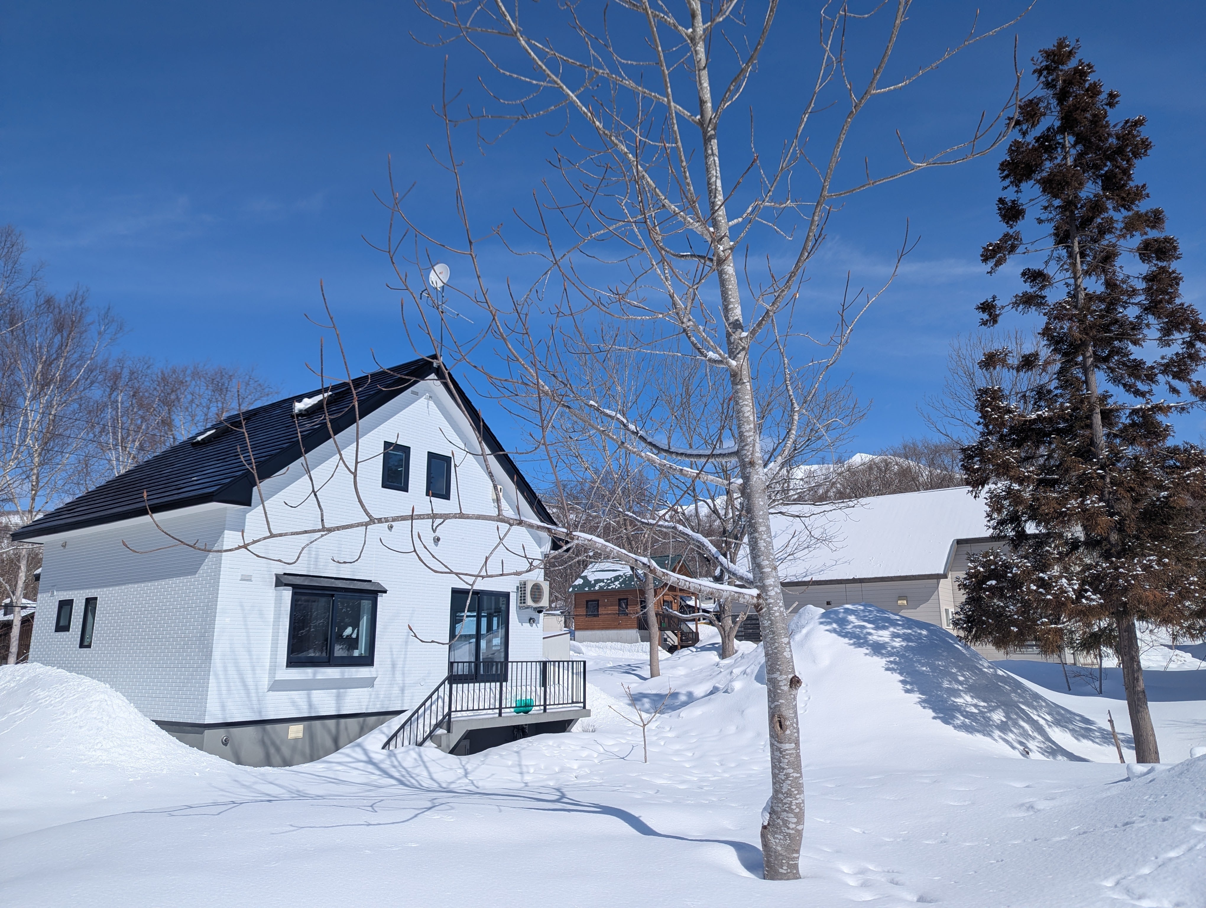 PXL 20250304 020645546