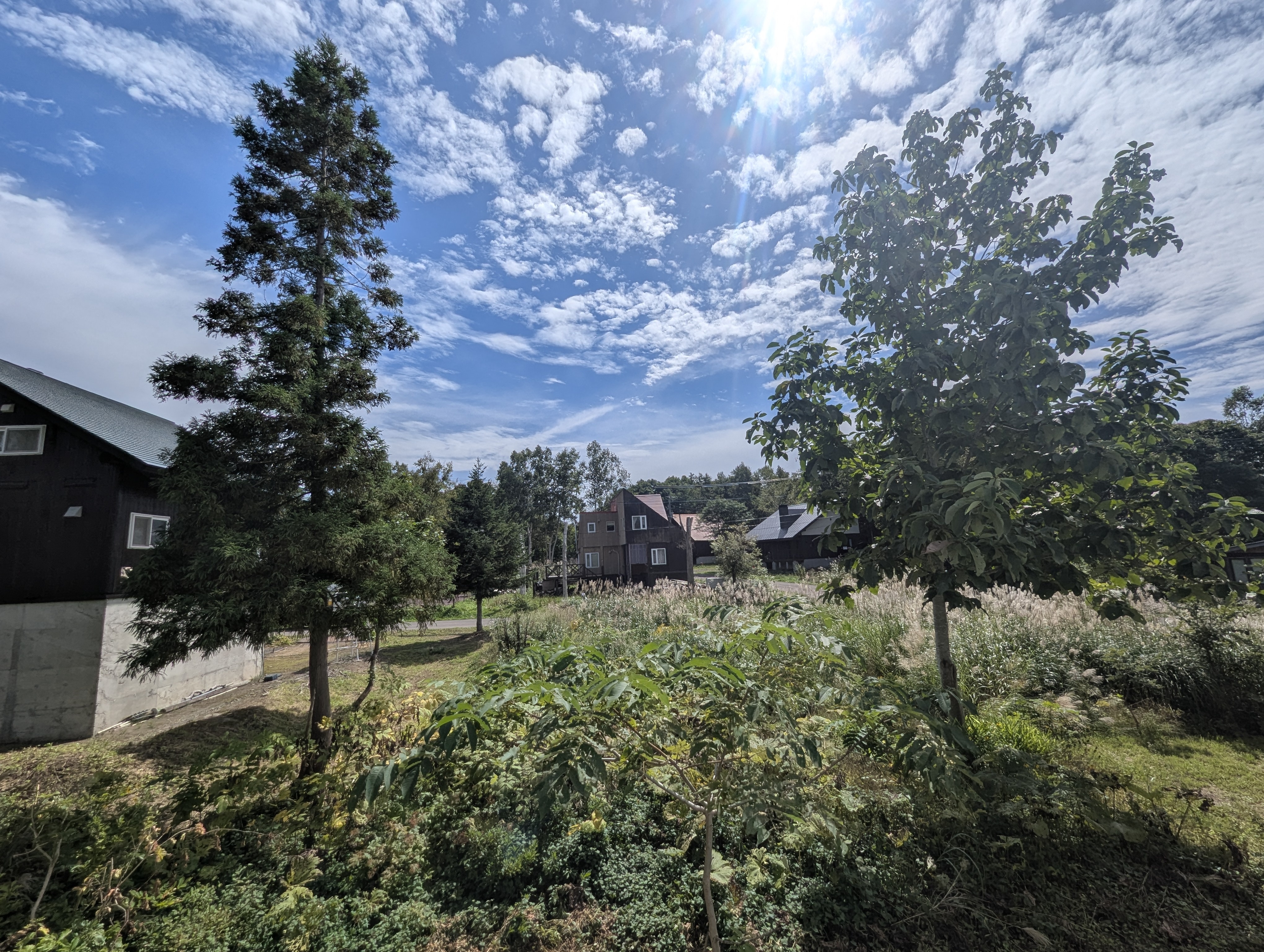 PXL 20250910 022052924