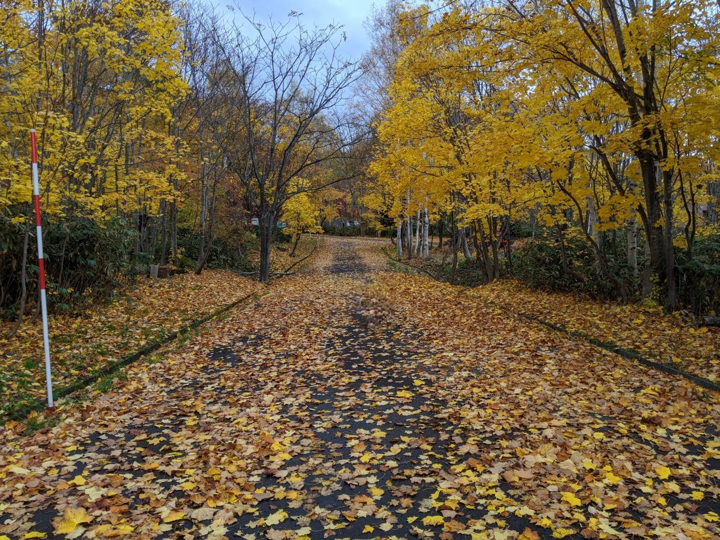 Retouch 1638836607610