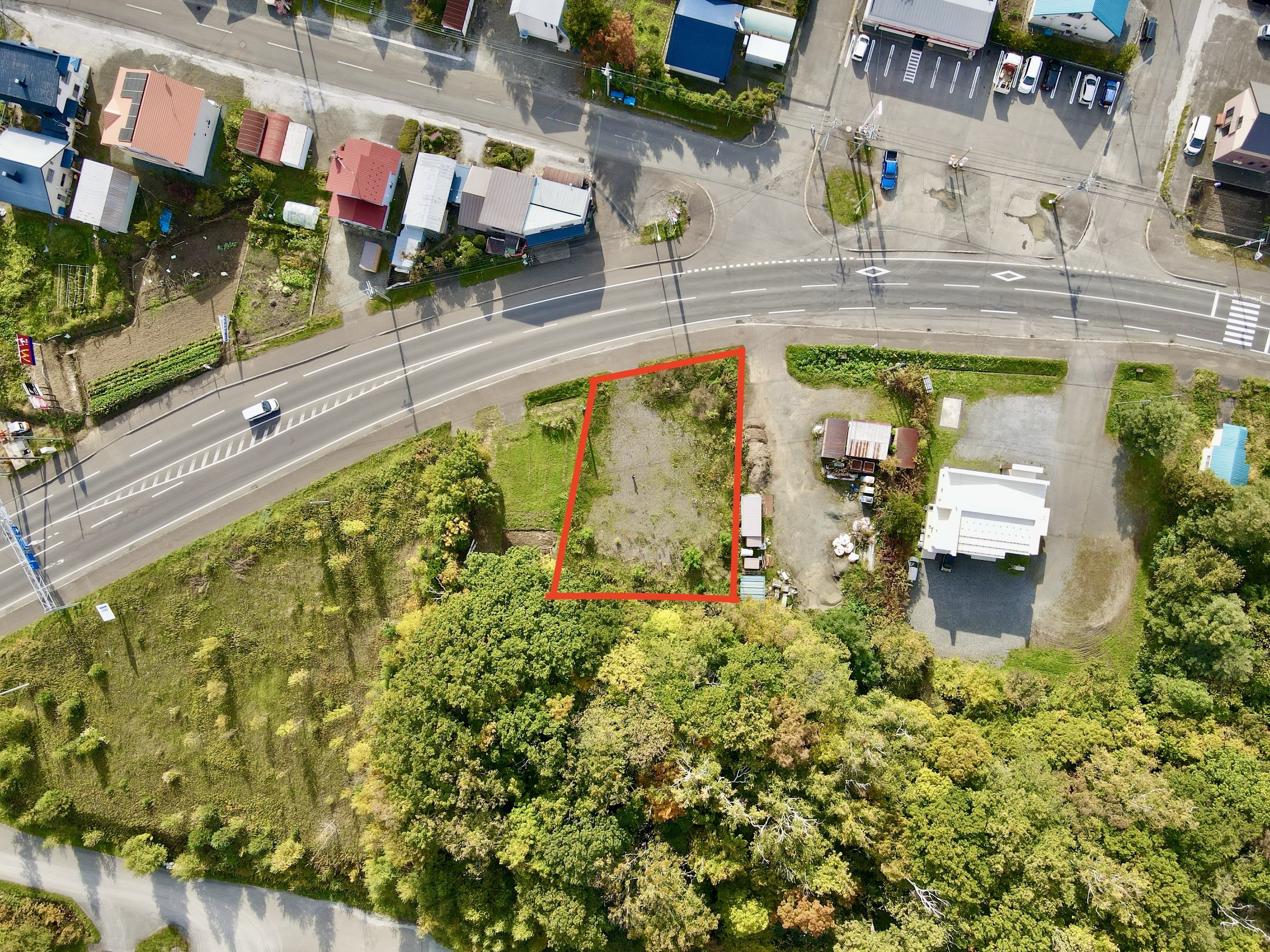 Dji fly 20241009 134118 198 1728449074394 photo 1