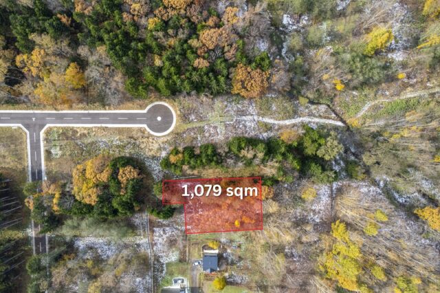 DJI 06032025 Niseko Photography DT