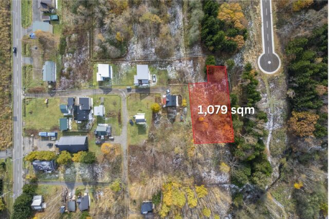 DJI 06042025 Niseko Photography DT