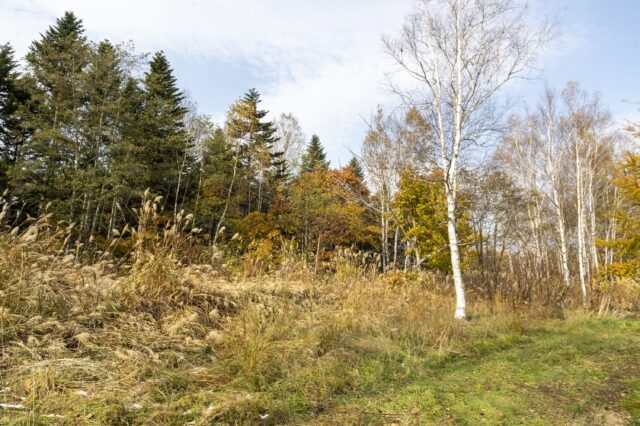 E7 I87182025 Niseko Photography DT