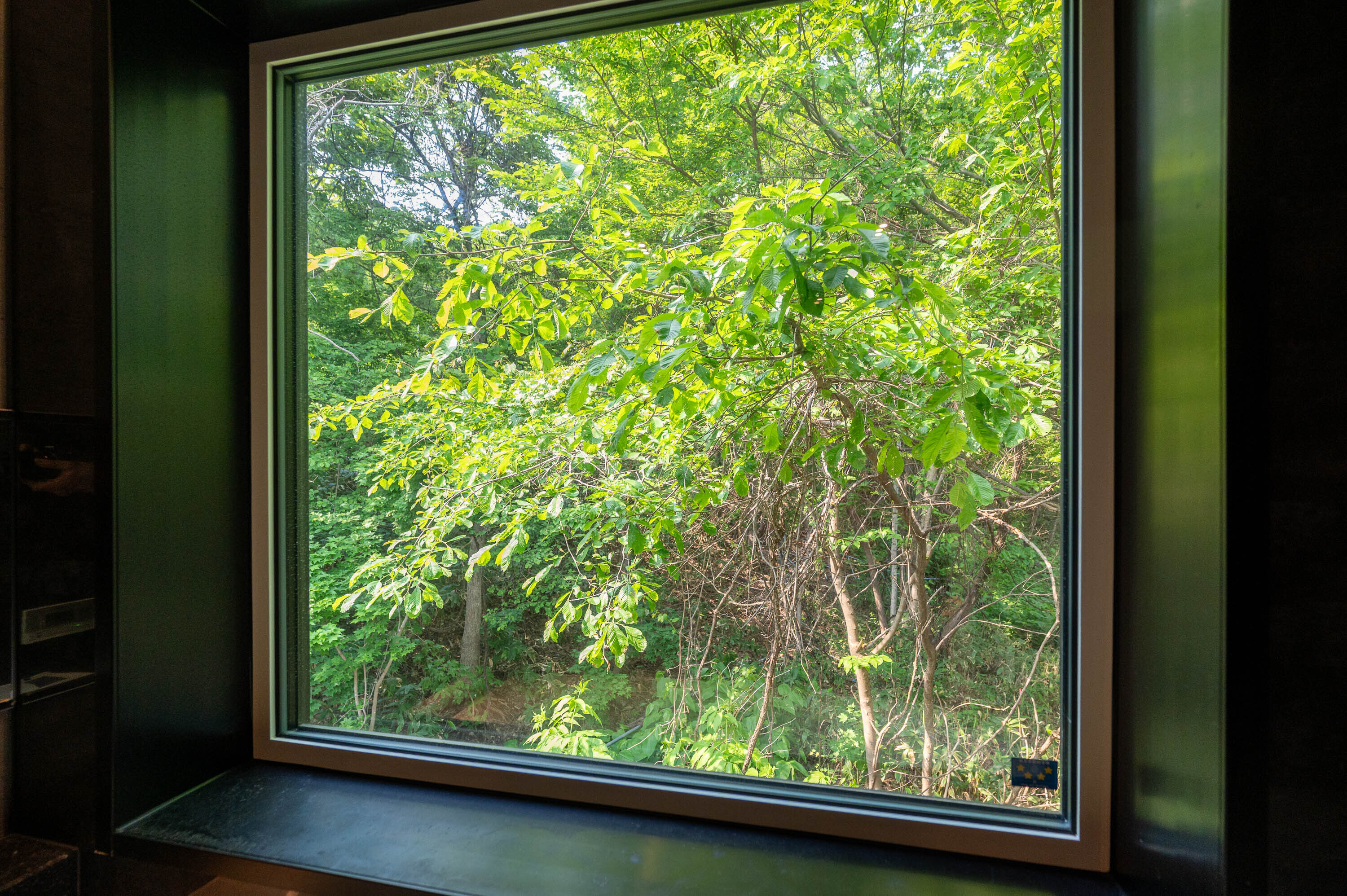 GCP 250530 024 web 3000px