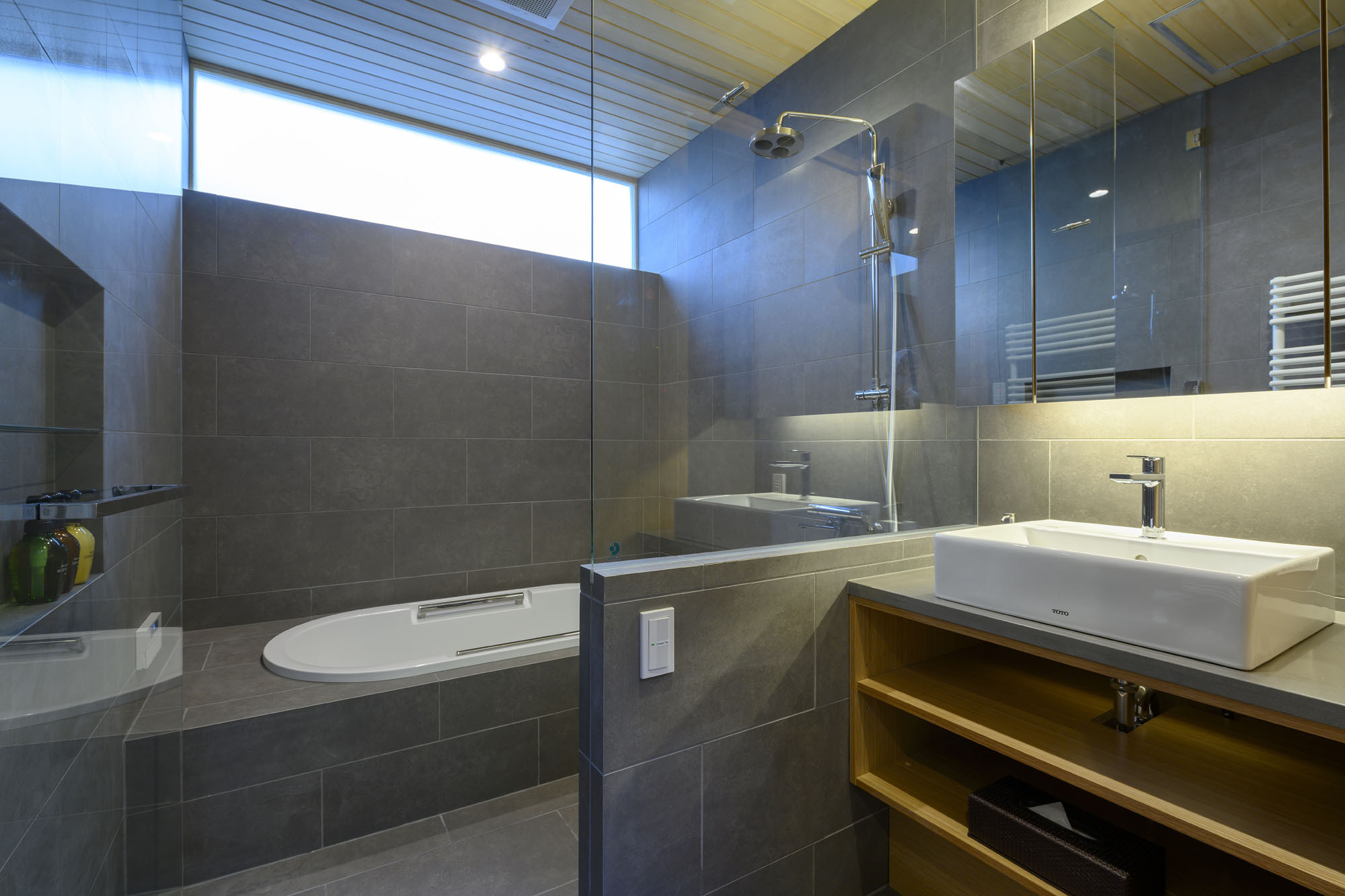 20190221 AJP AZ74664