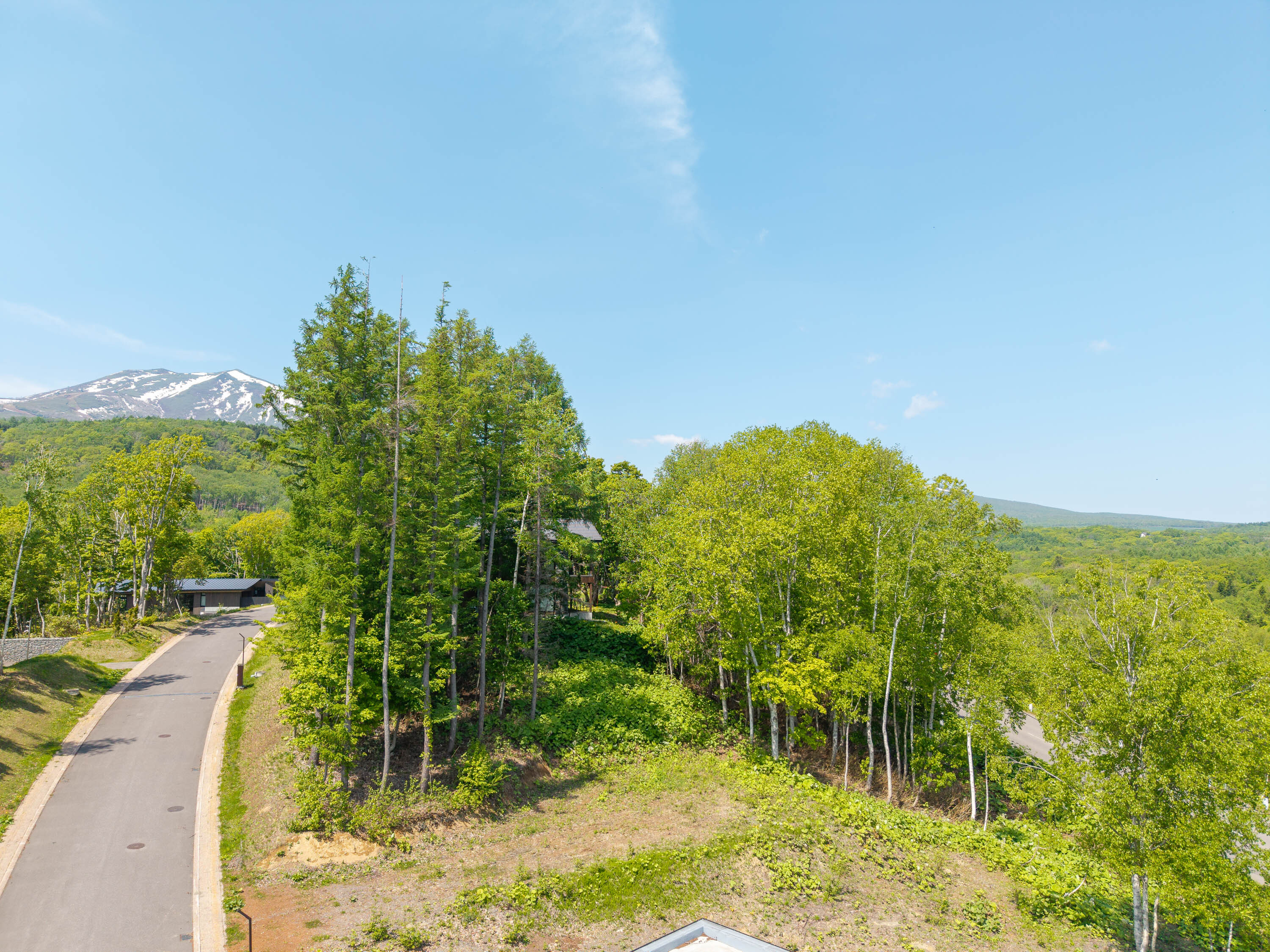 GCP 250528 010 web 3000px