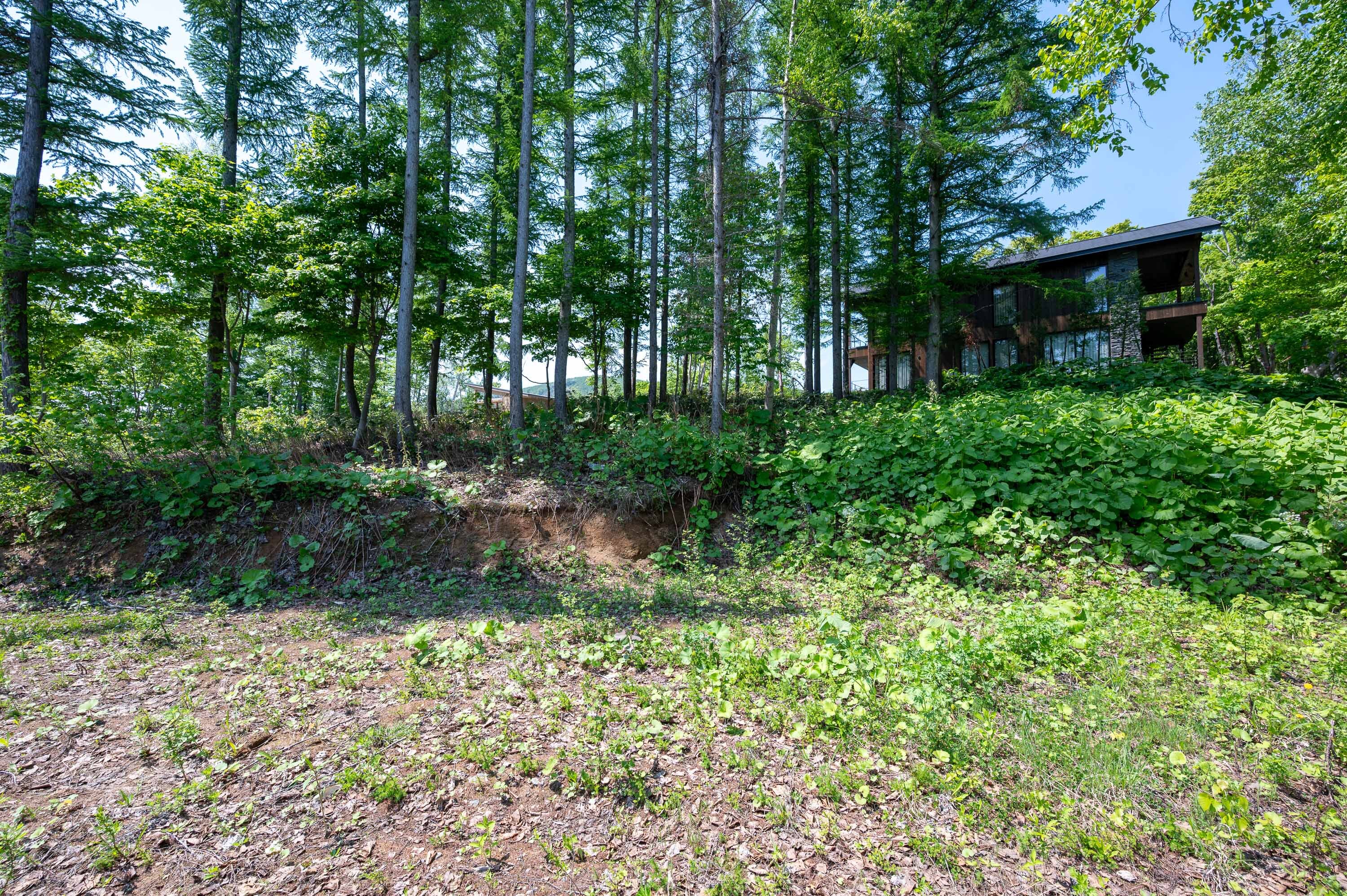 GCP 250528 062 web 3000px