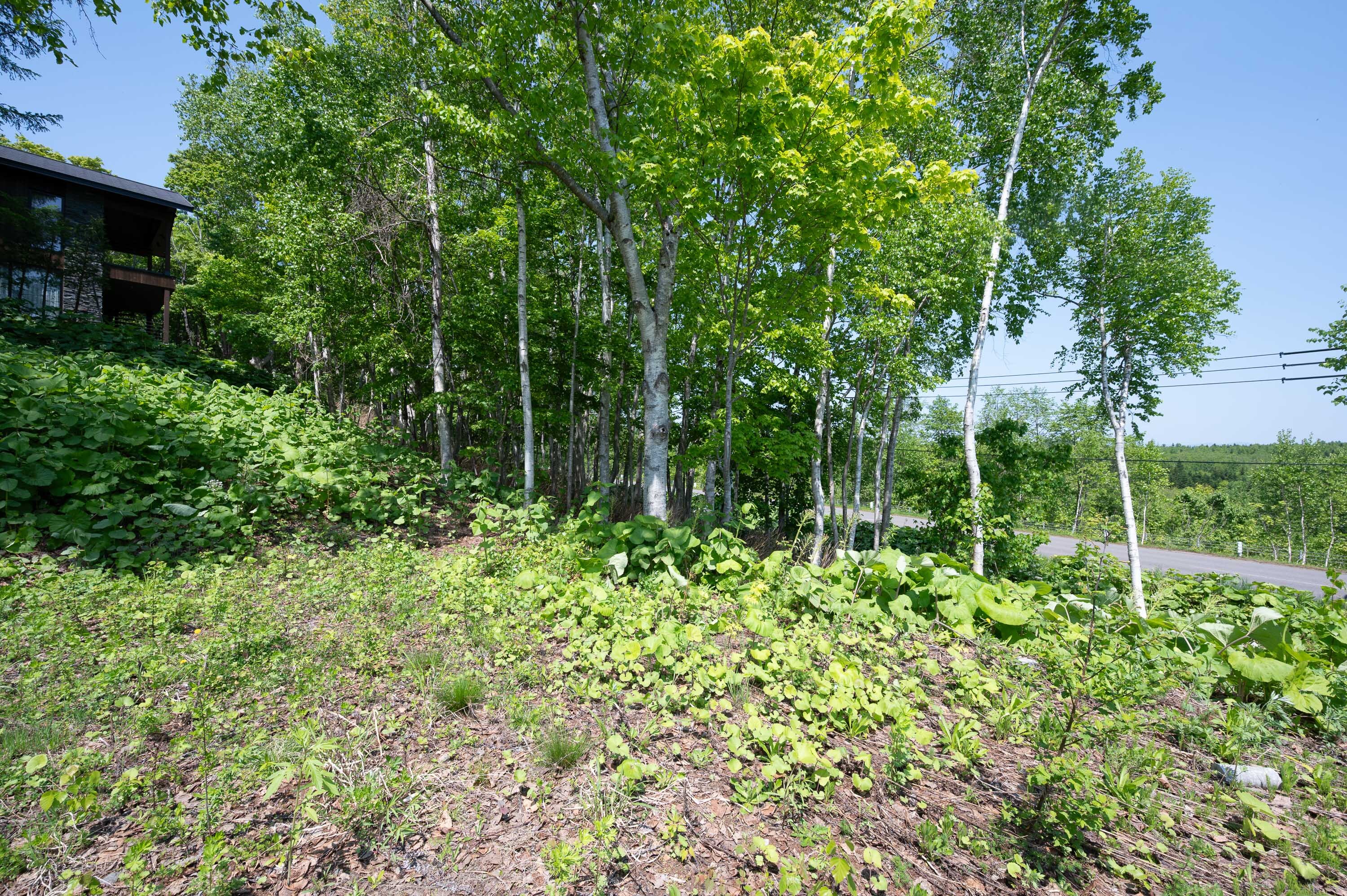 GCP 250528 064 web 3000px