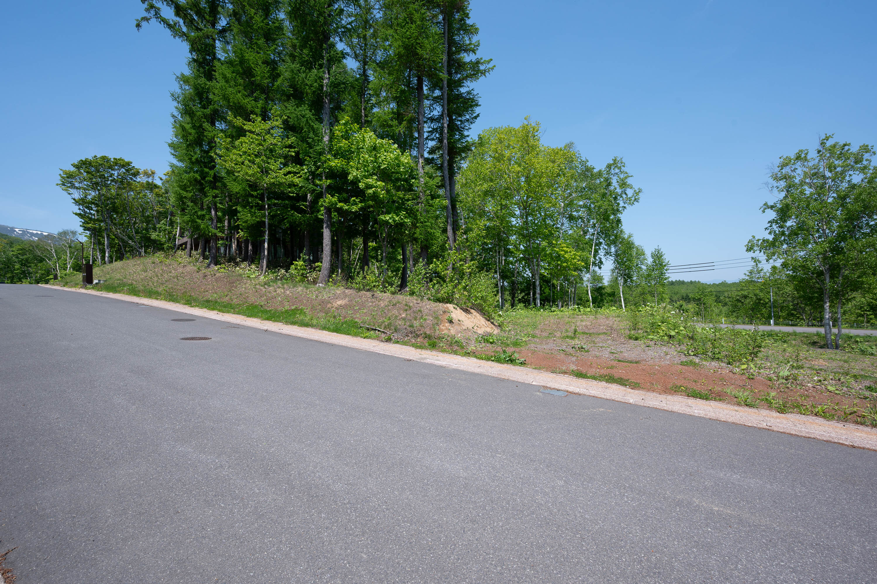 GCP 250528 067 web 3000px