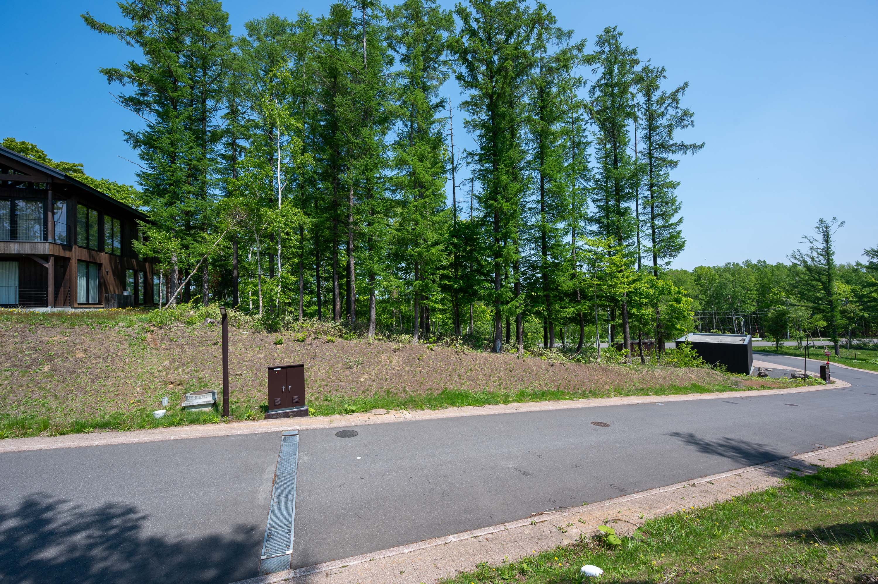 GCP 250528 071 web 3000px