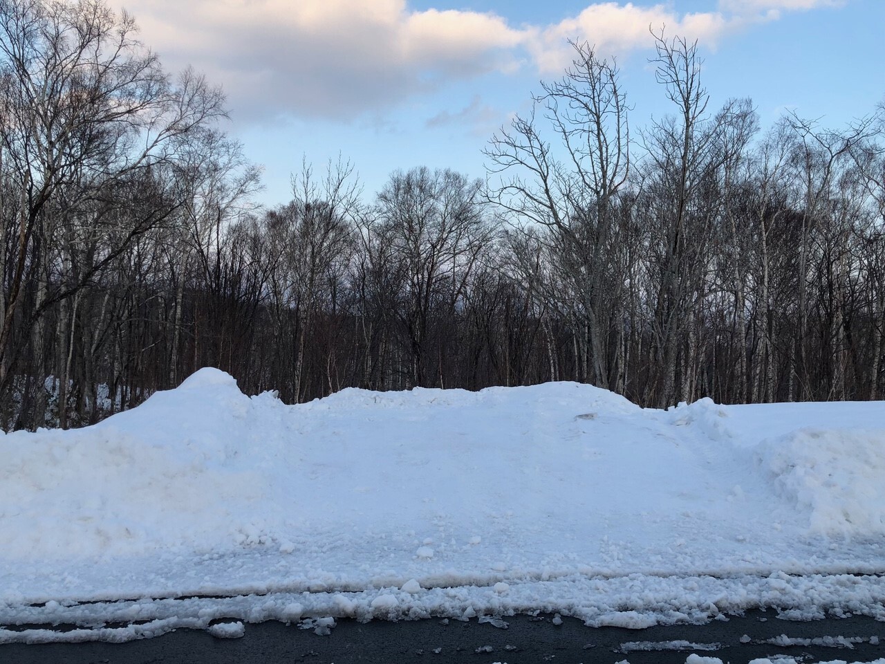 Asahi 305 29 306 6 01