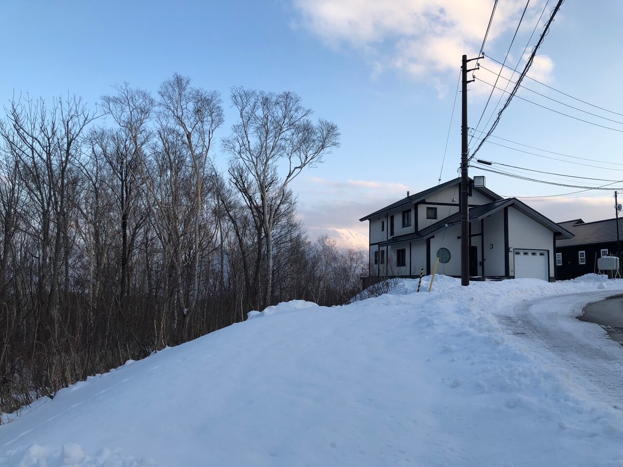 Asahi 305 29 306 6 02