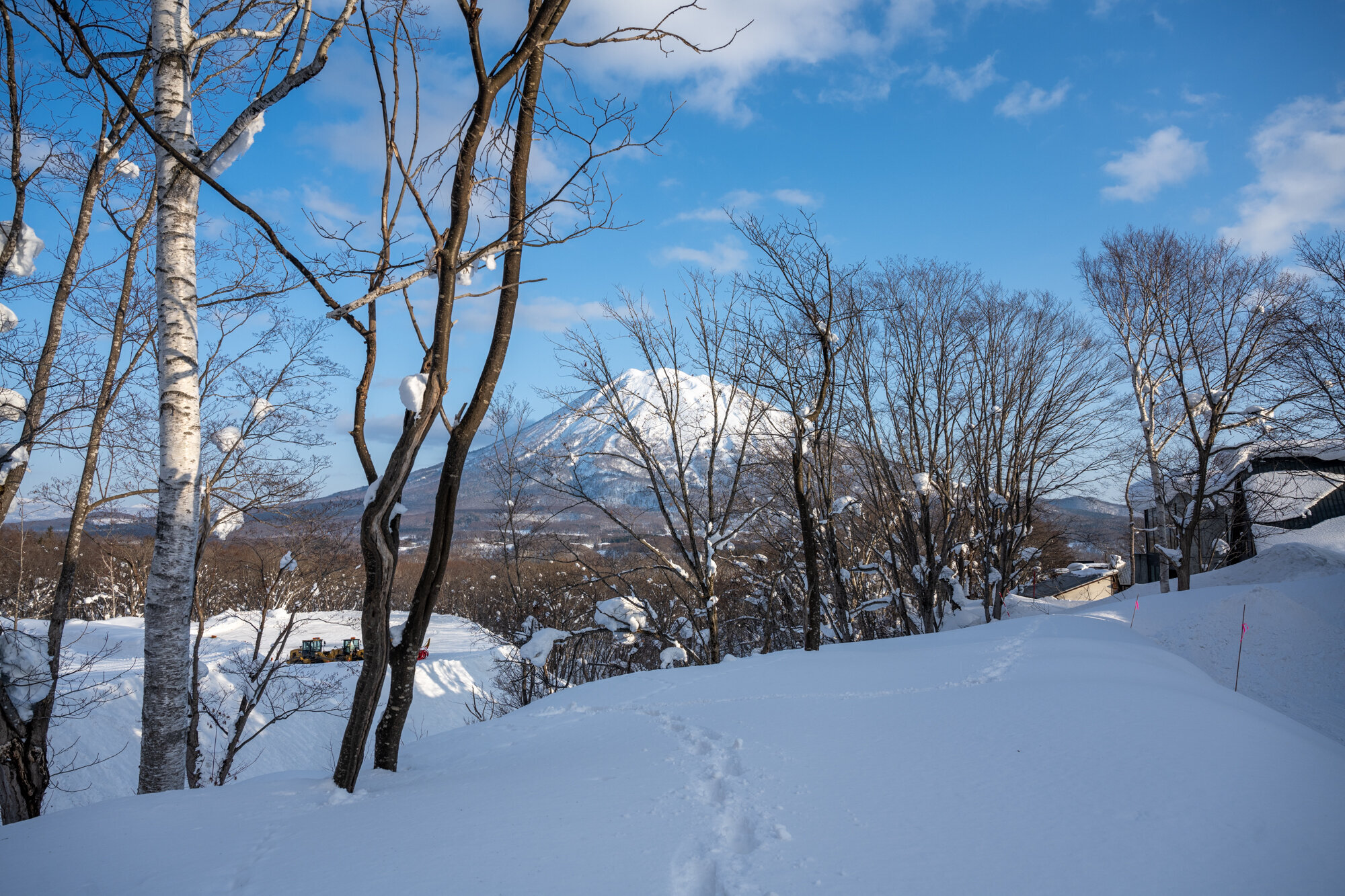 20210125 AJP AZ77907