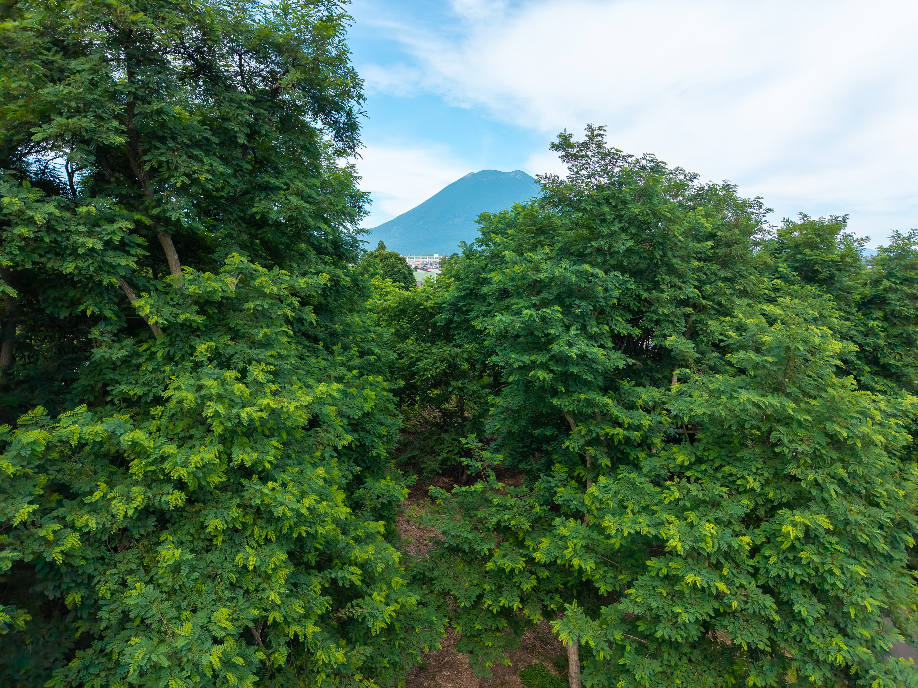 GCP 250723 204 web 3000px