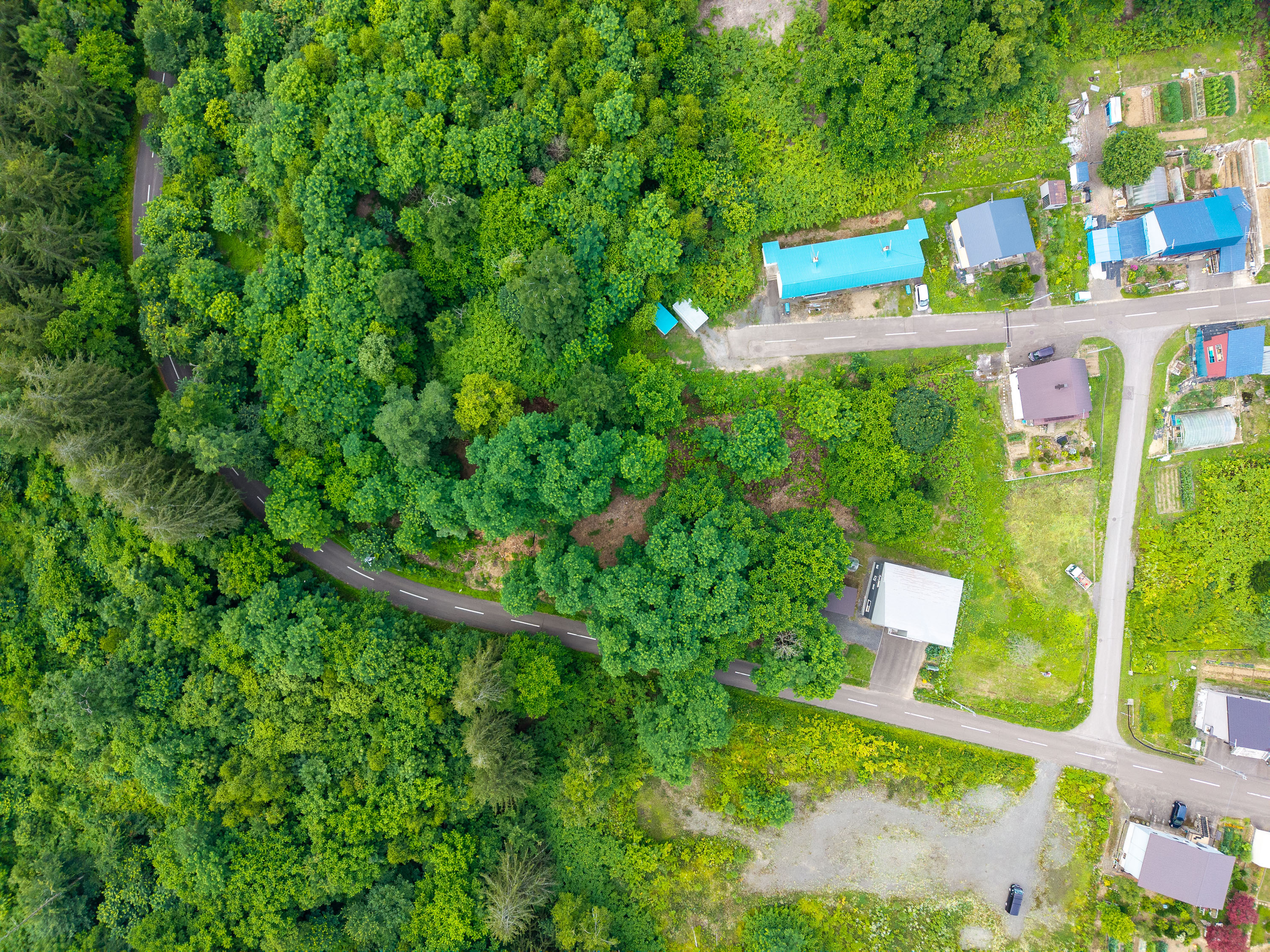 GCP 250723 219 web 3000px