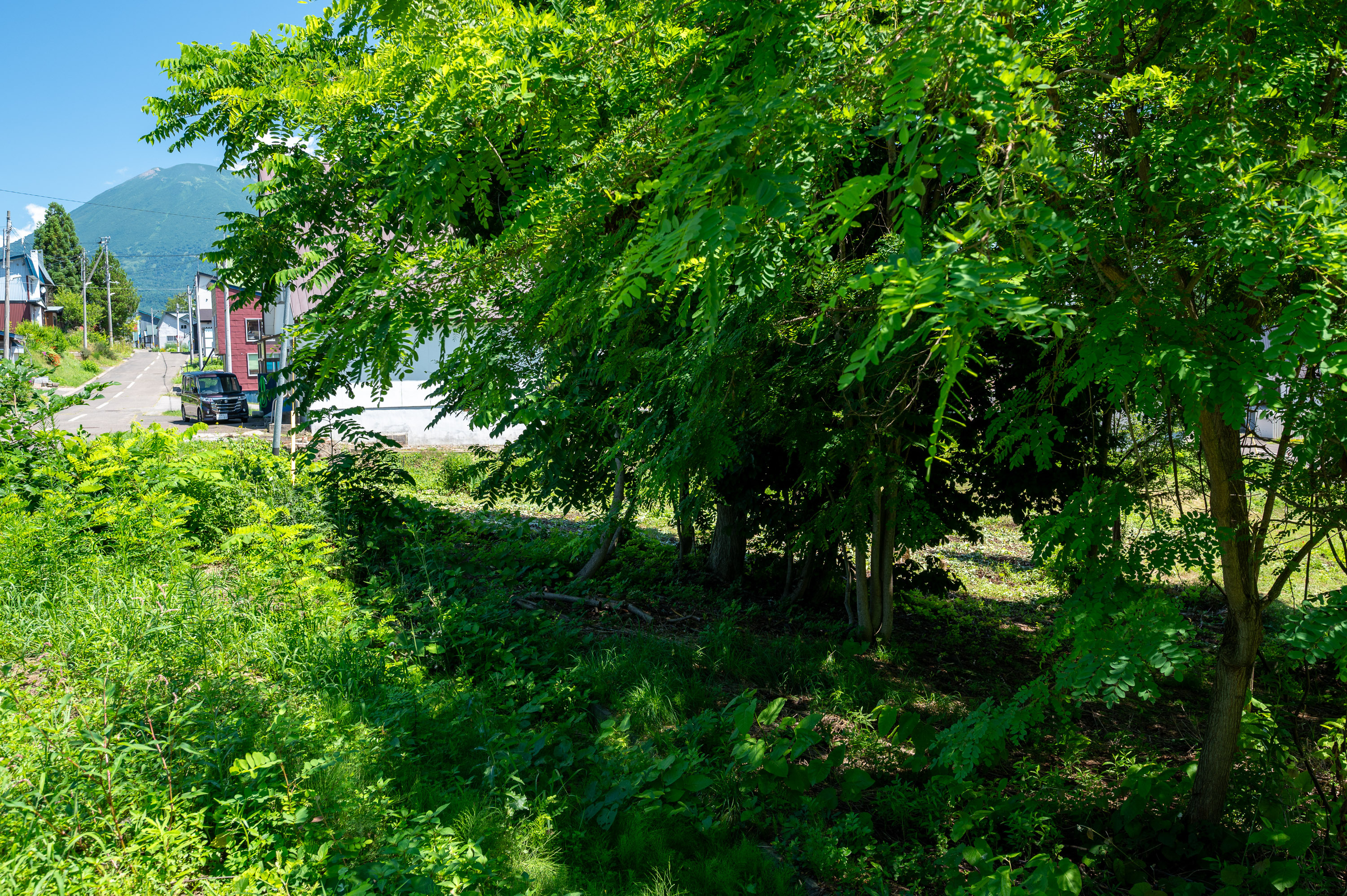 GCP 250724 027 web 3000px