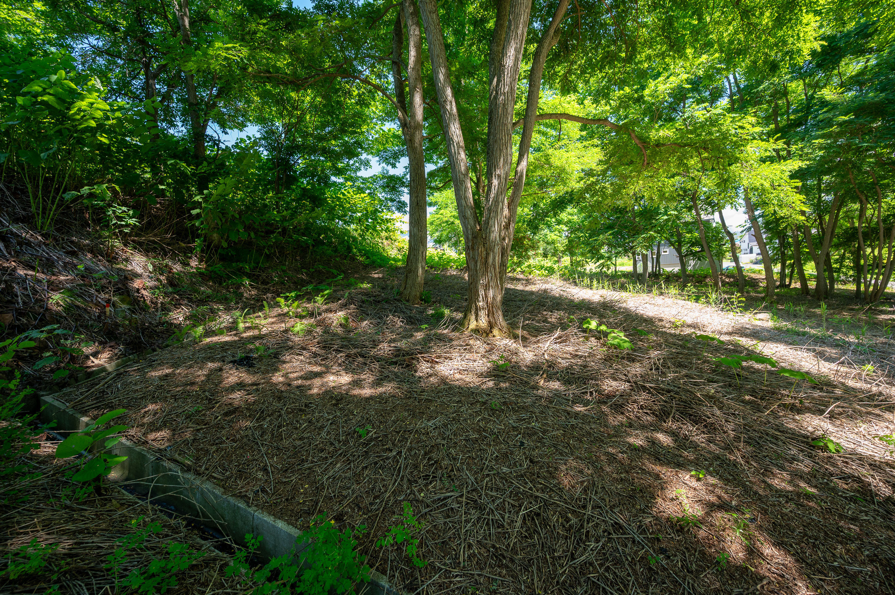 GCP 250724 038 web 3000px