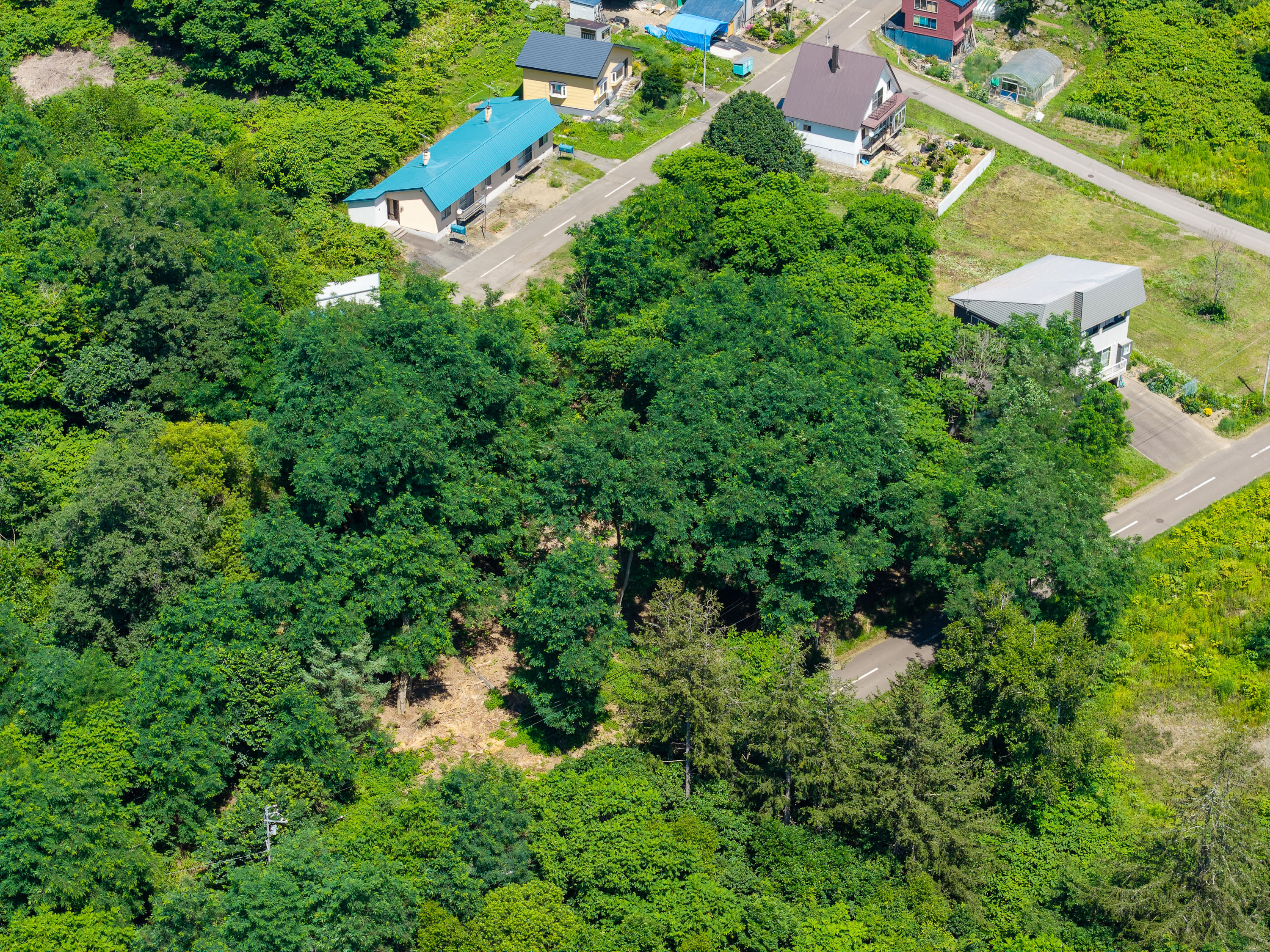 GCP 250724 073 web 3000px