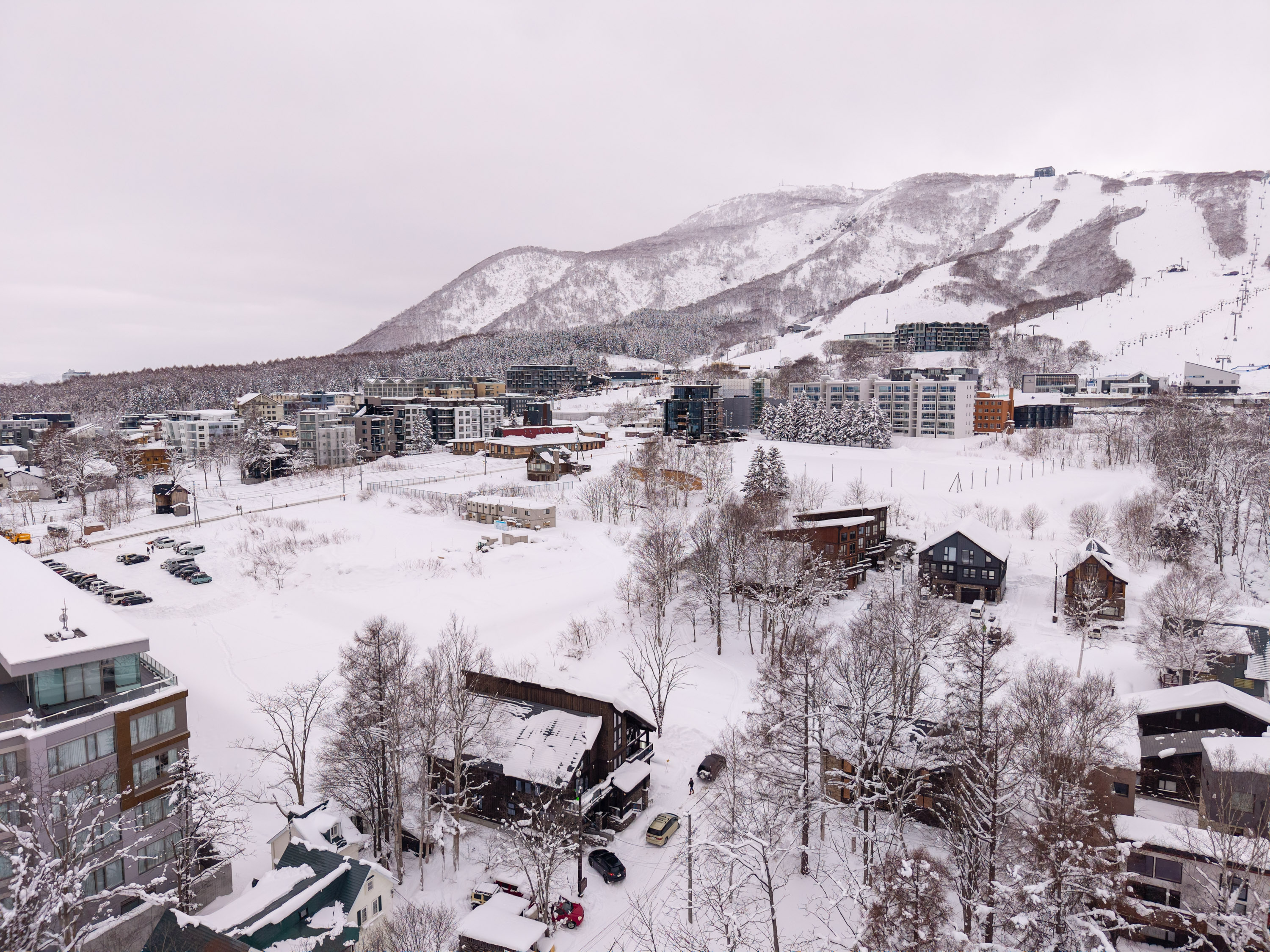 GCP 260103 200 web 3000px