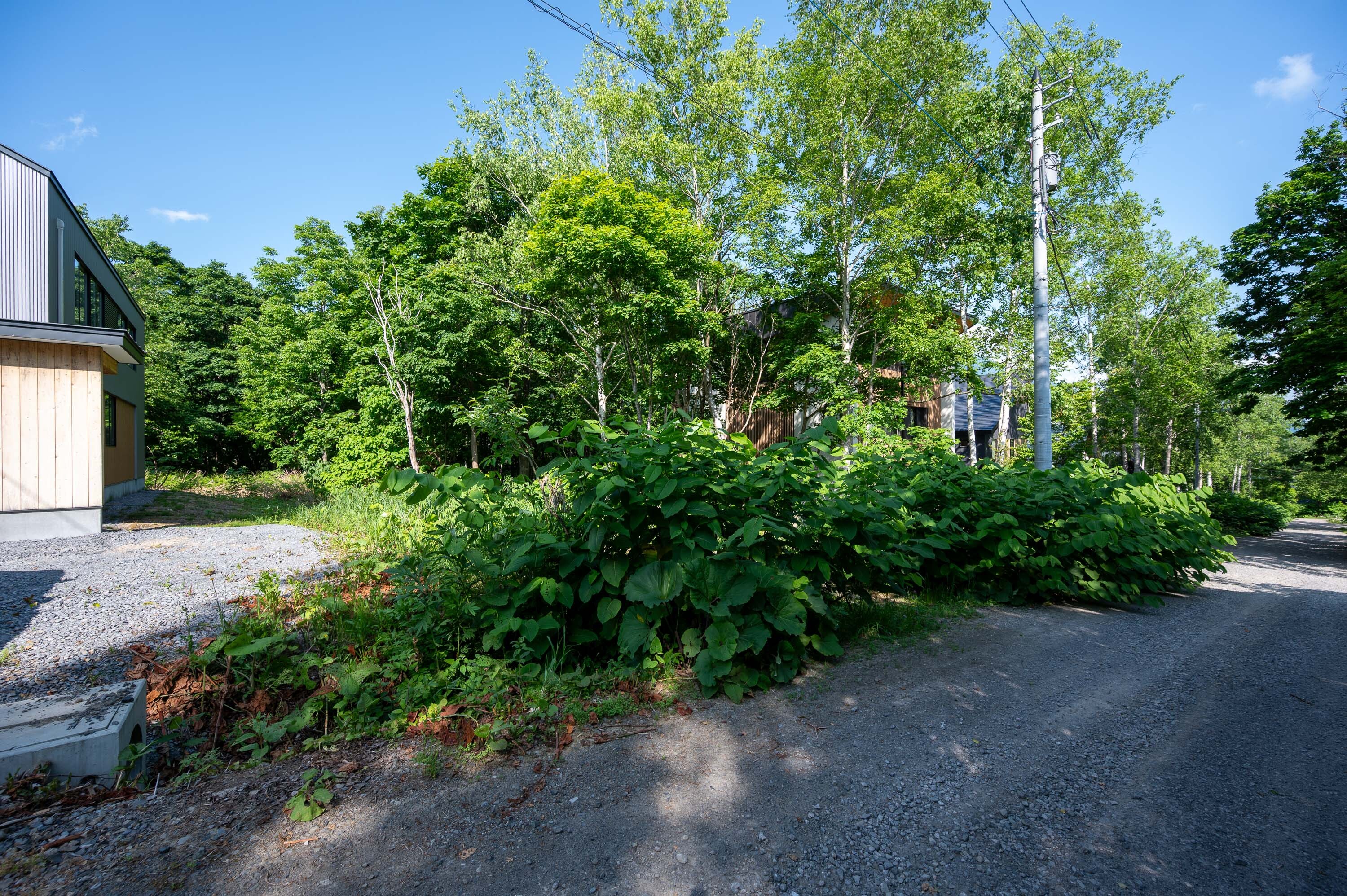 GCP 250618 205 web 3000px