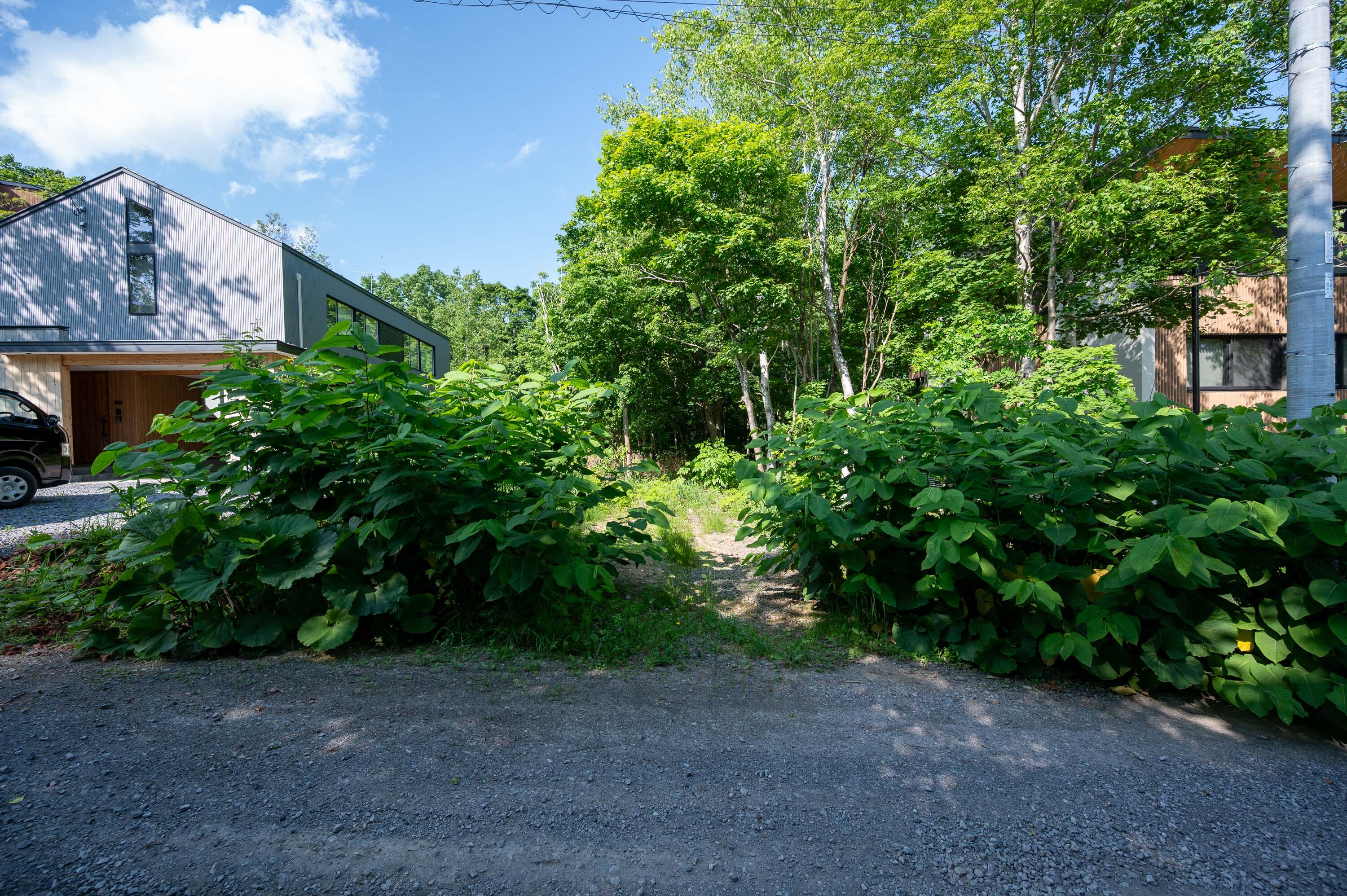 GCP 250618 211 web 3000px