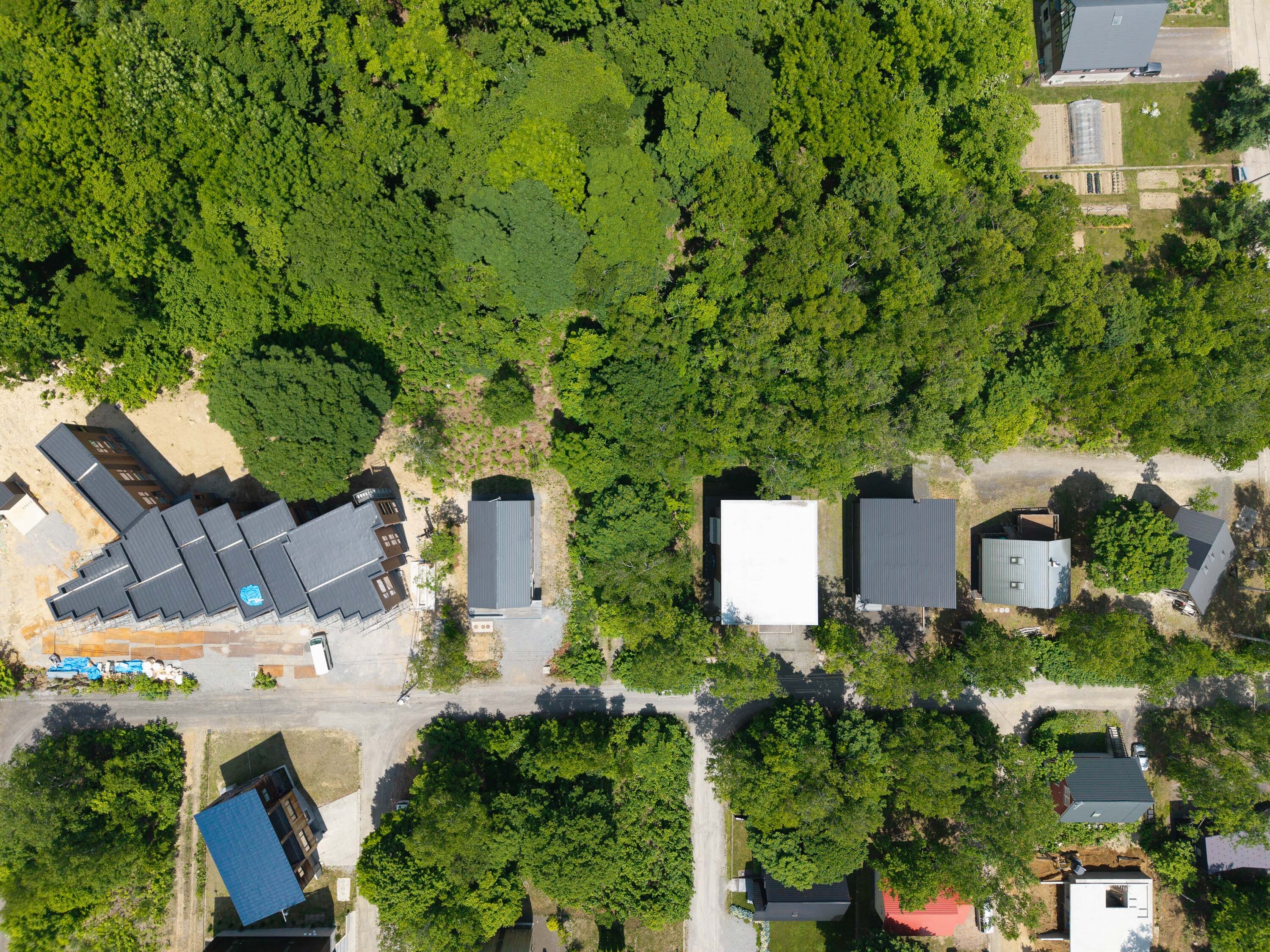 GCP 250619 202 web 3000px