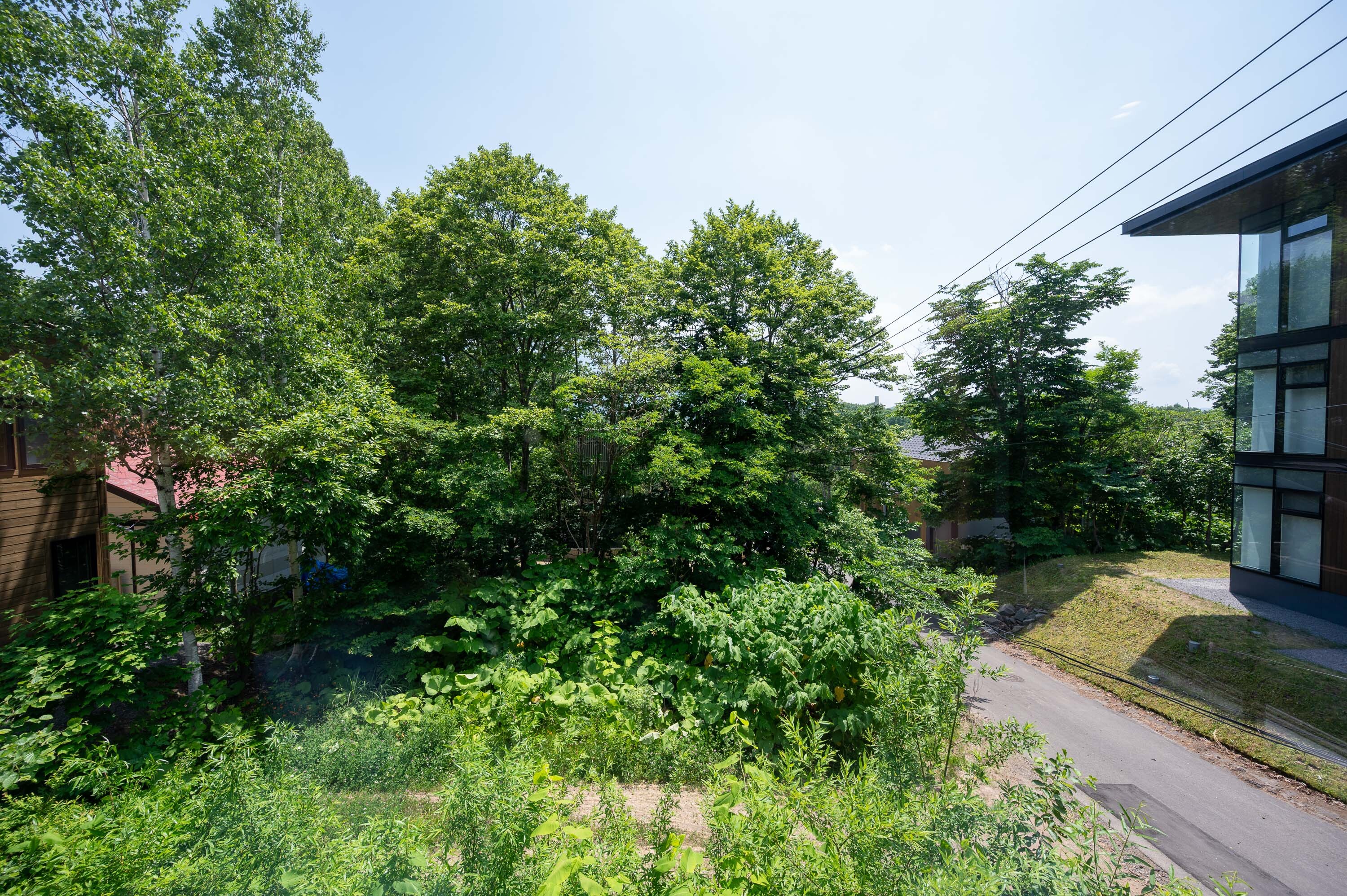 GCP 250620 070 web 3000px