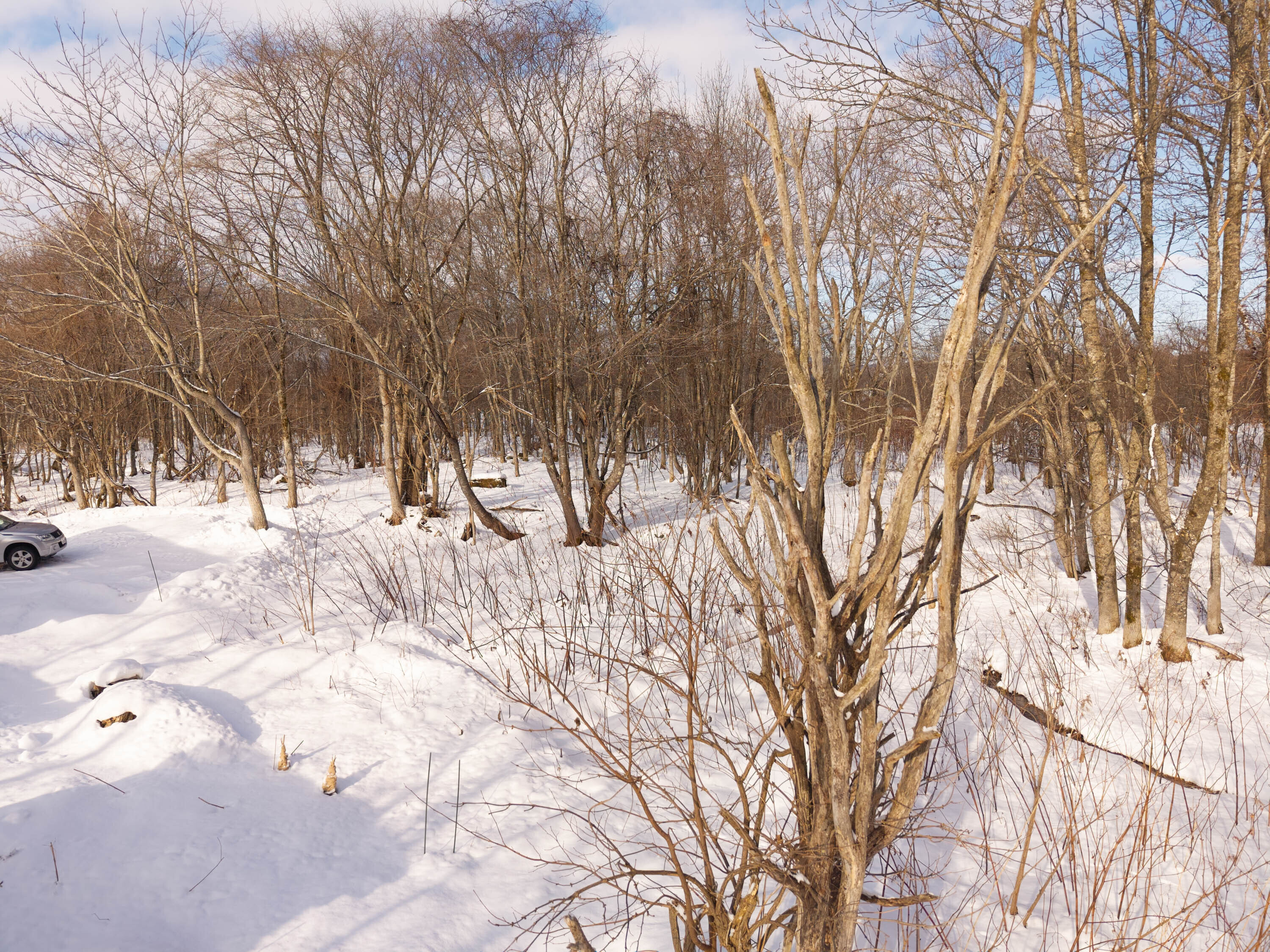 GCP 251223 059 web 3000px