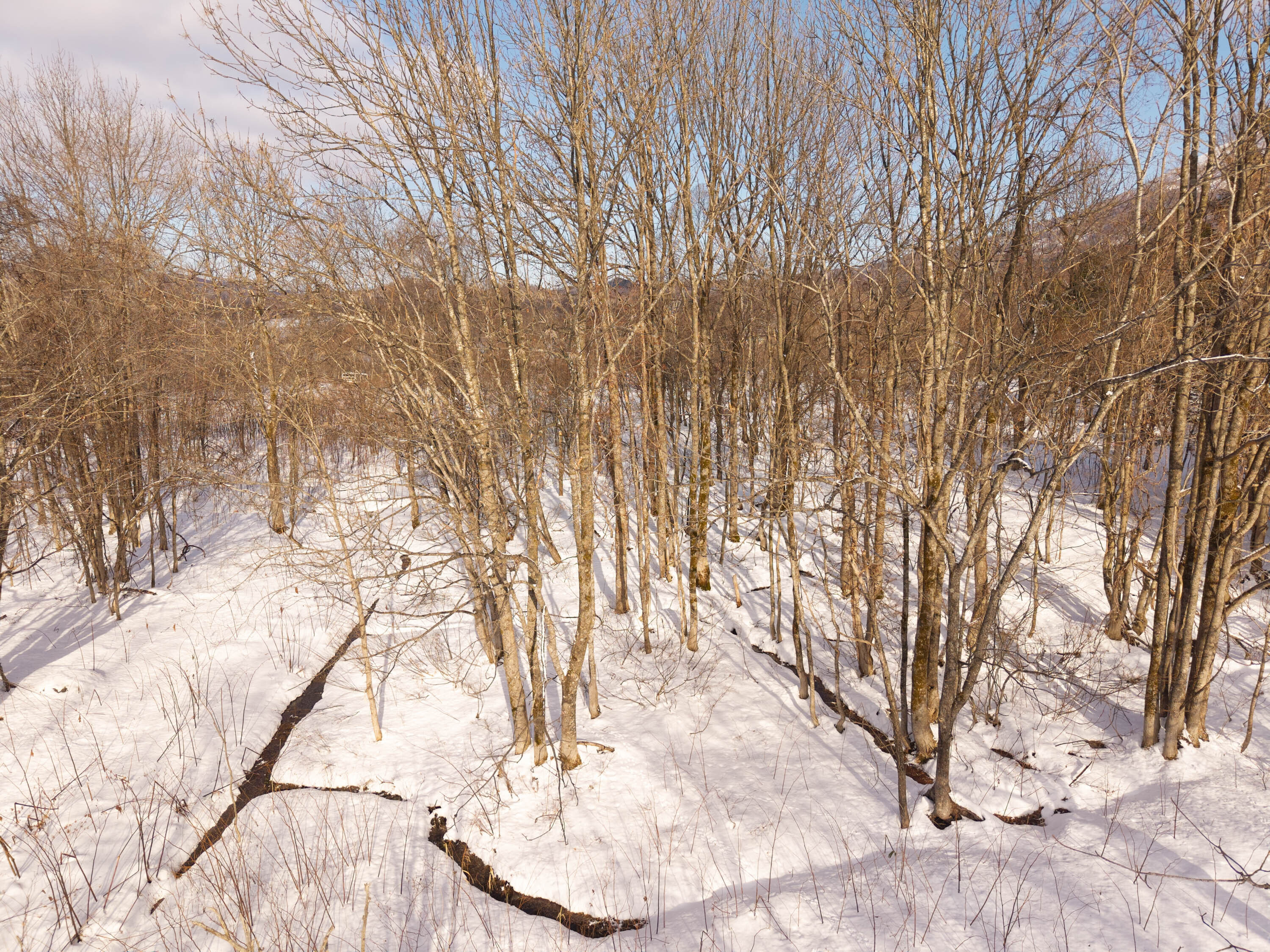 GCP 251223 065 web 3000px