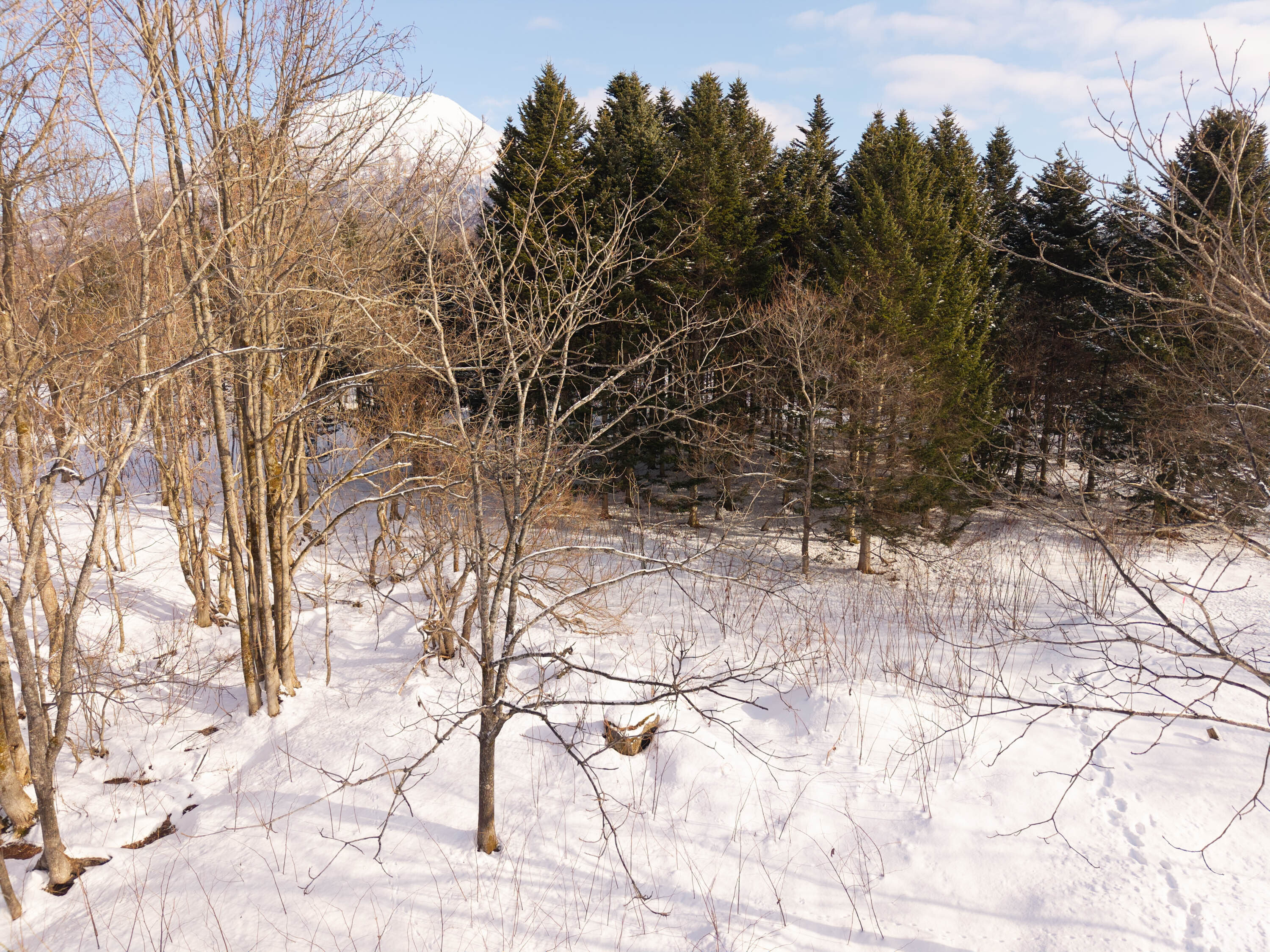 GCP 251223 066 web 3000px