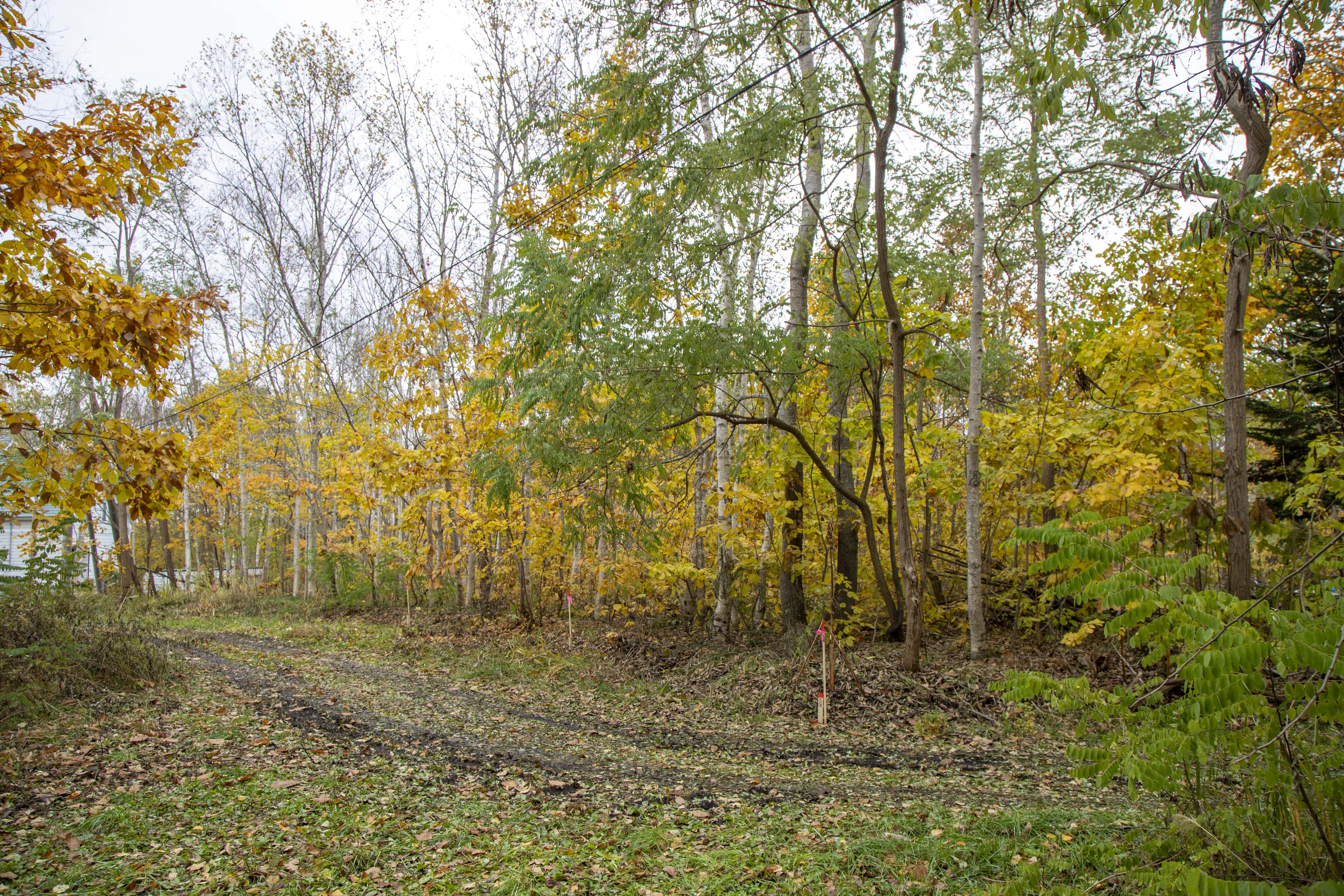 E7 I87392025 Niseko Photography DT min