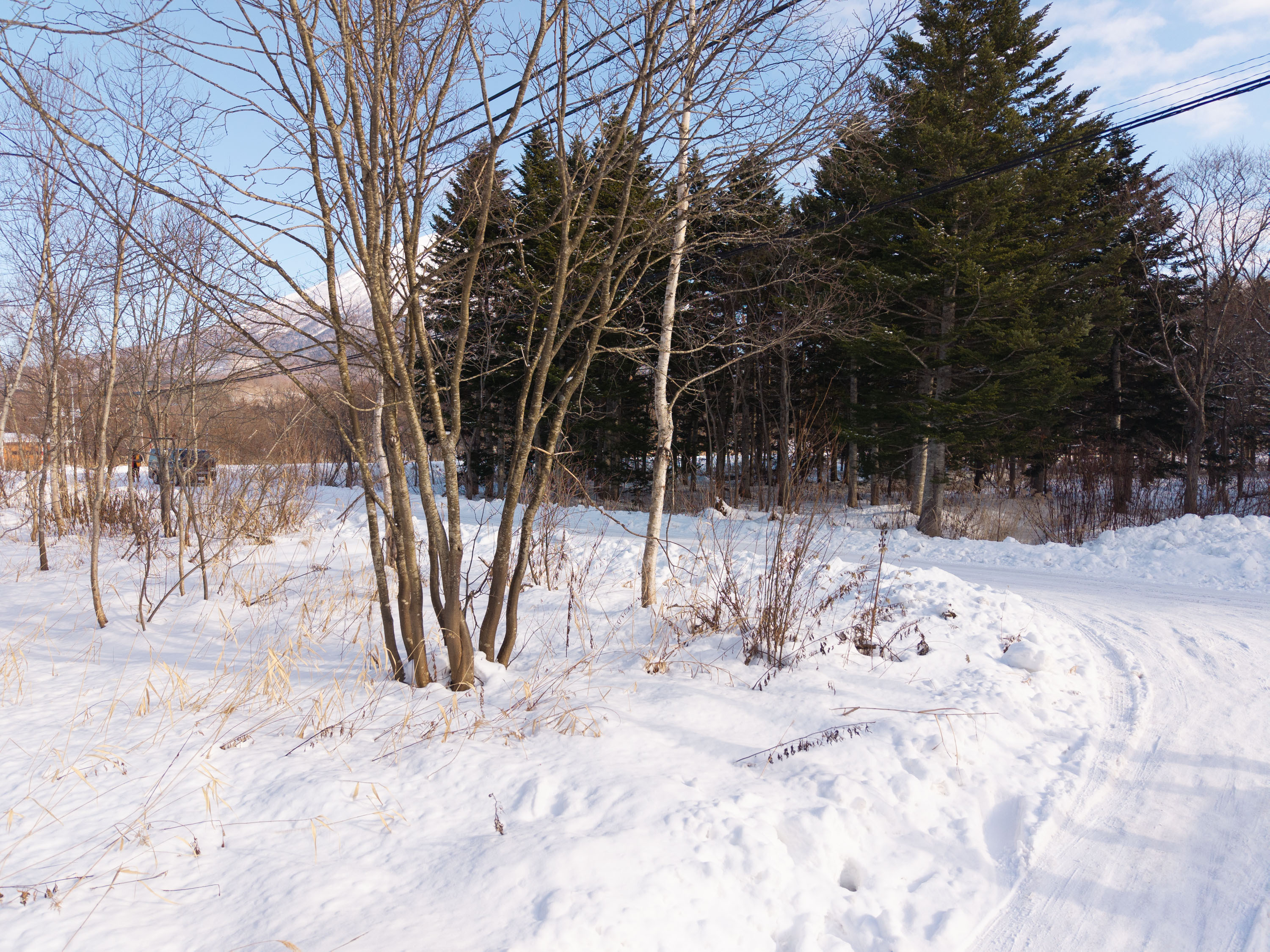 GCP 251223 007 web 3000px