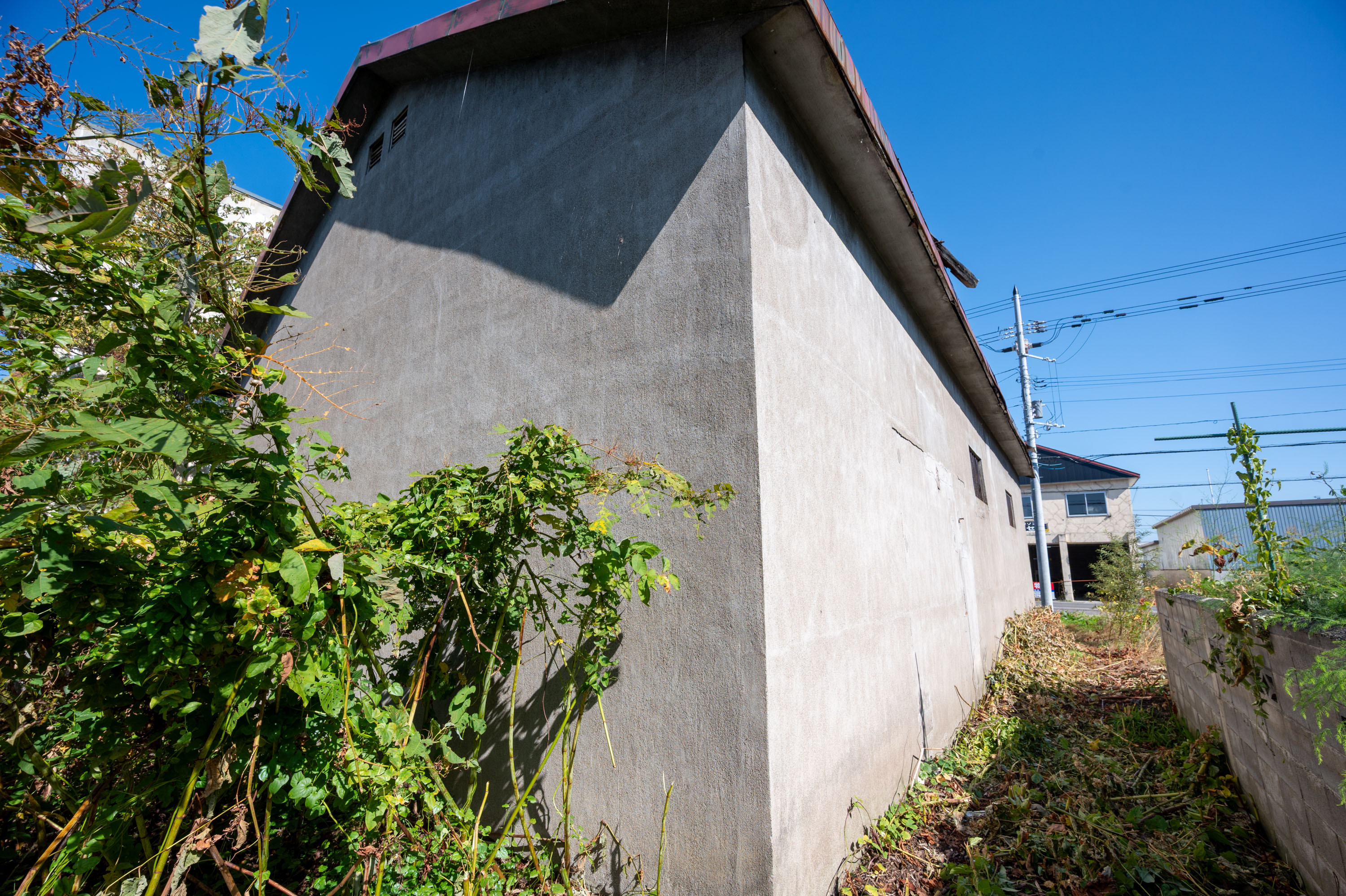 GCP 251003 065 web 3000px