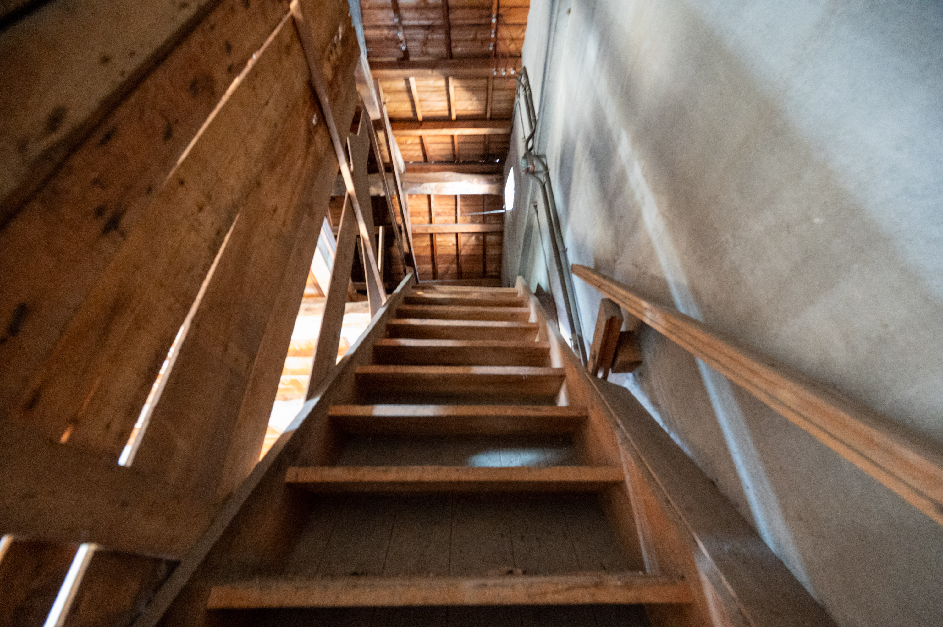 GCP 251003 078 web 3000px