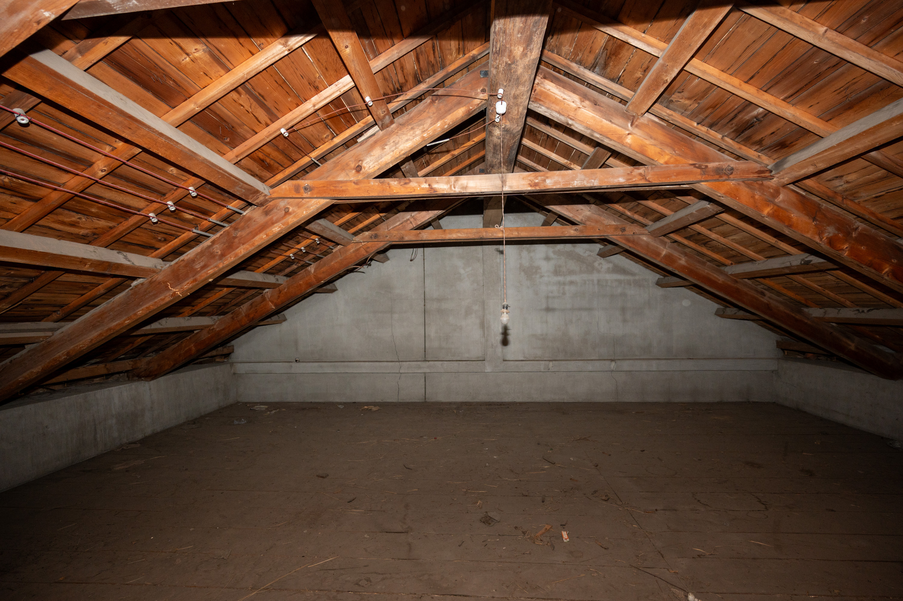 GCP 251007 117 web 3000px