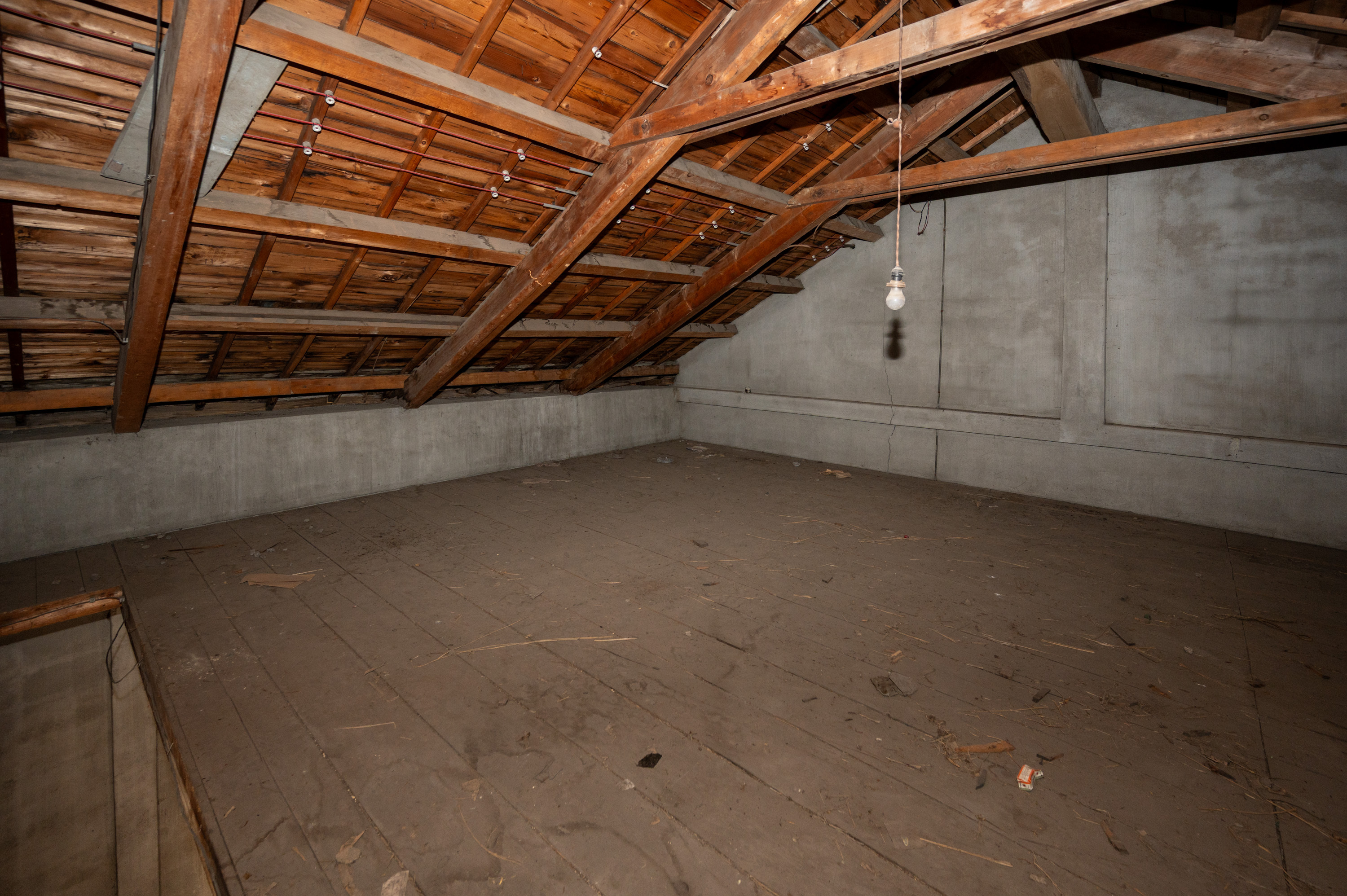 GCP 251007 126 web 3000px