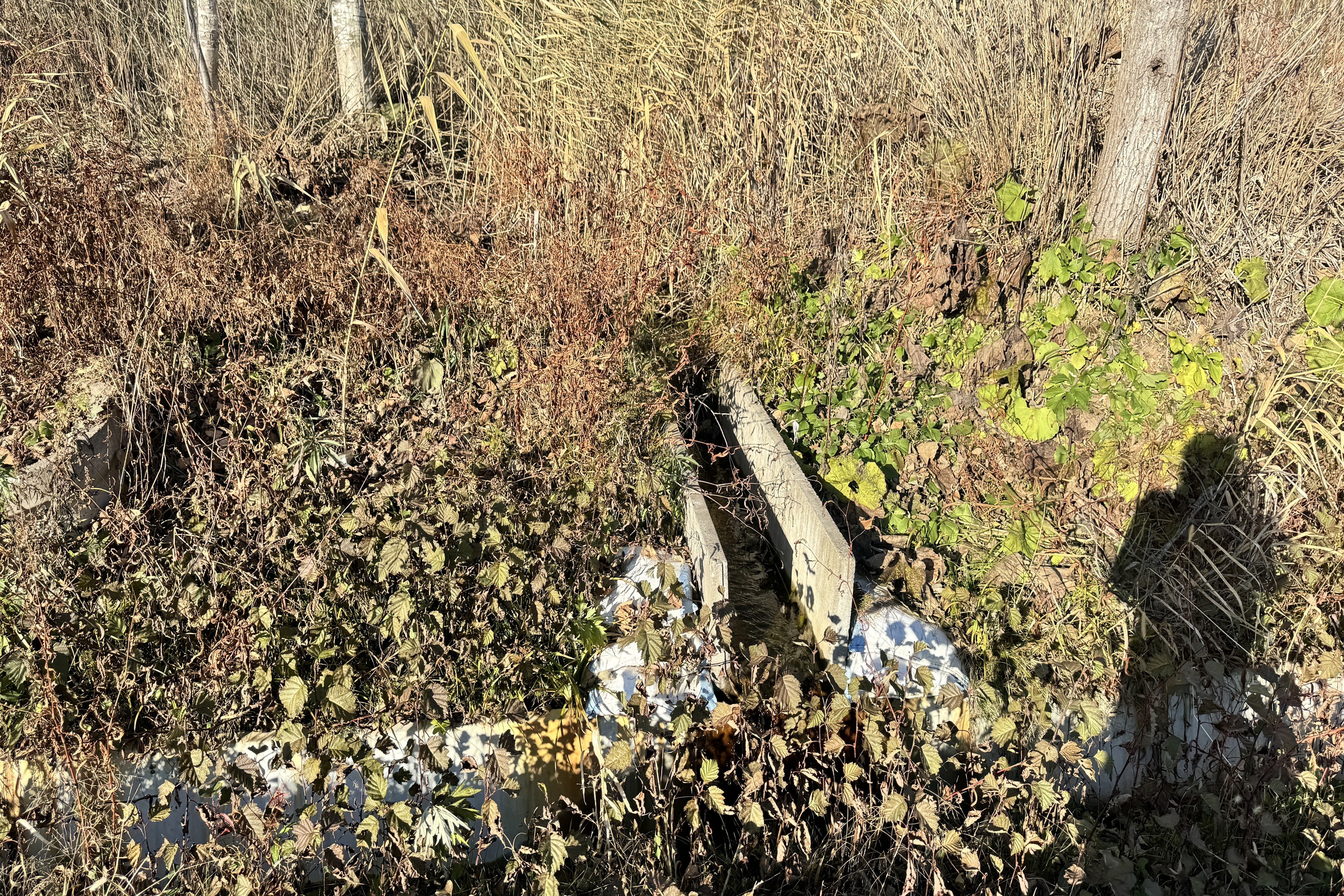 27 40 41 Aza Yashiro 1