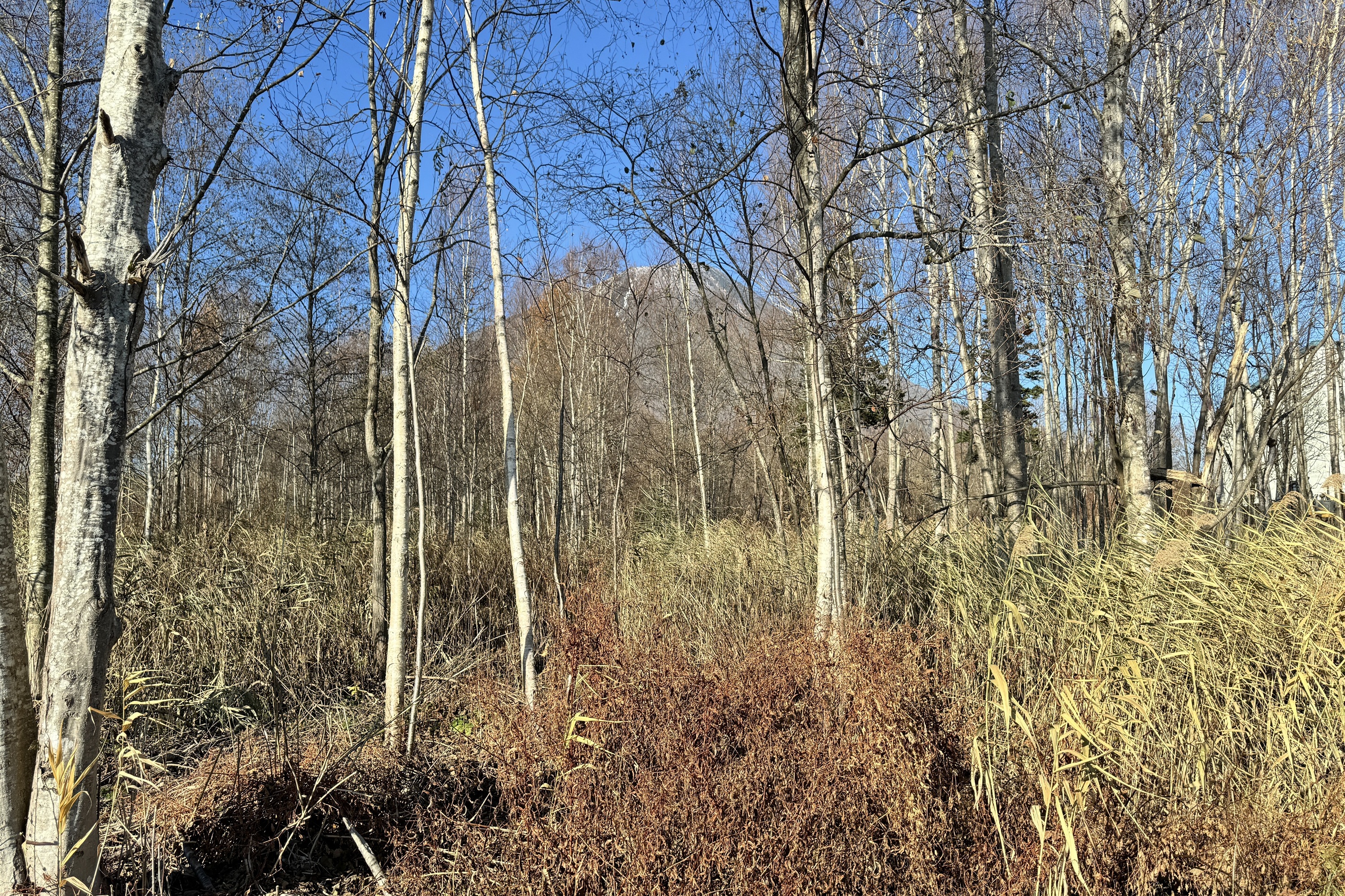 27 40 41 Aza Yashiro 2