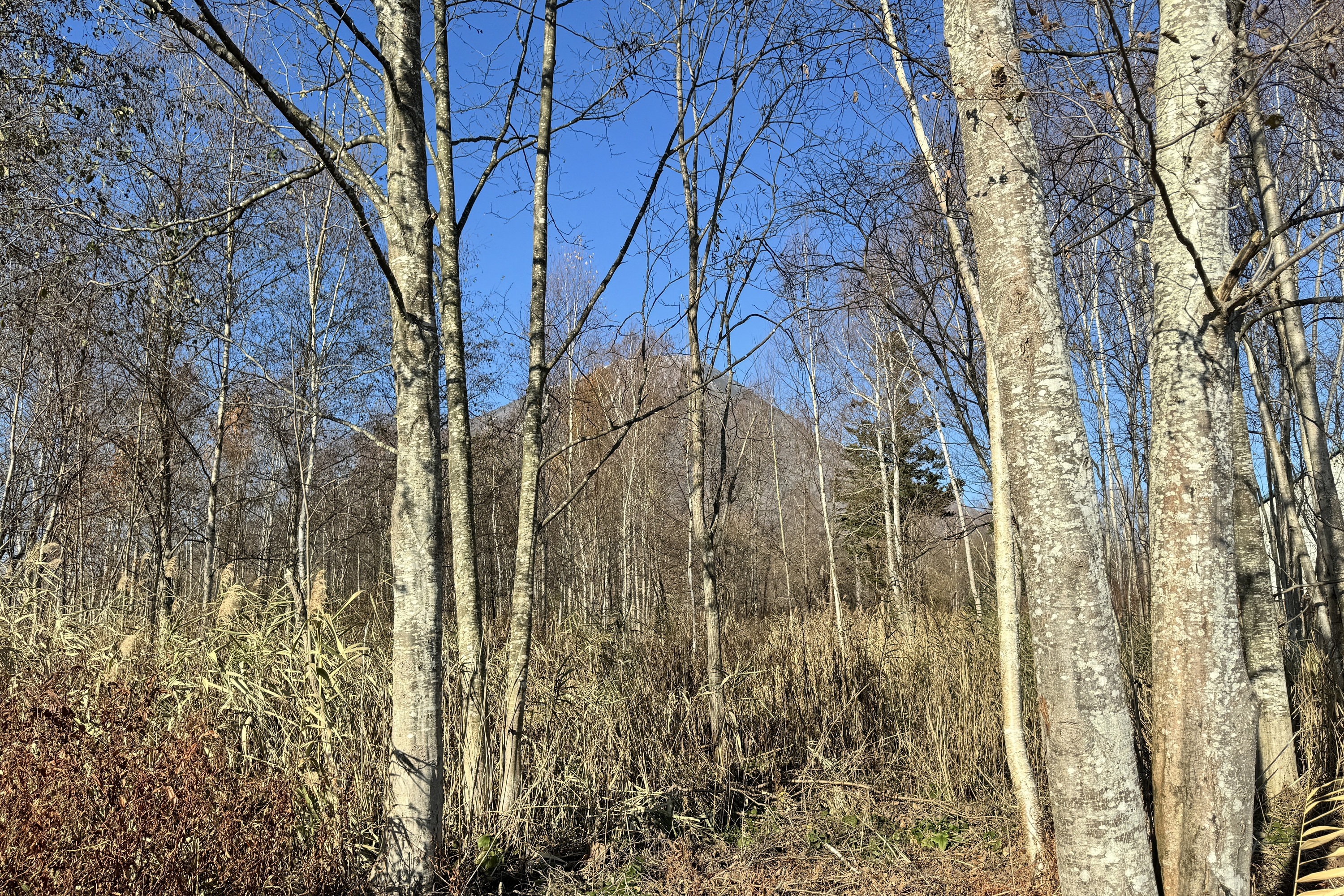 27 40 41 Aza Yashiro 6