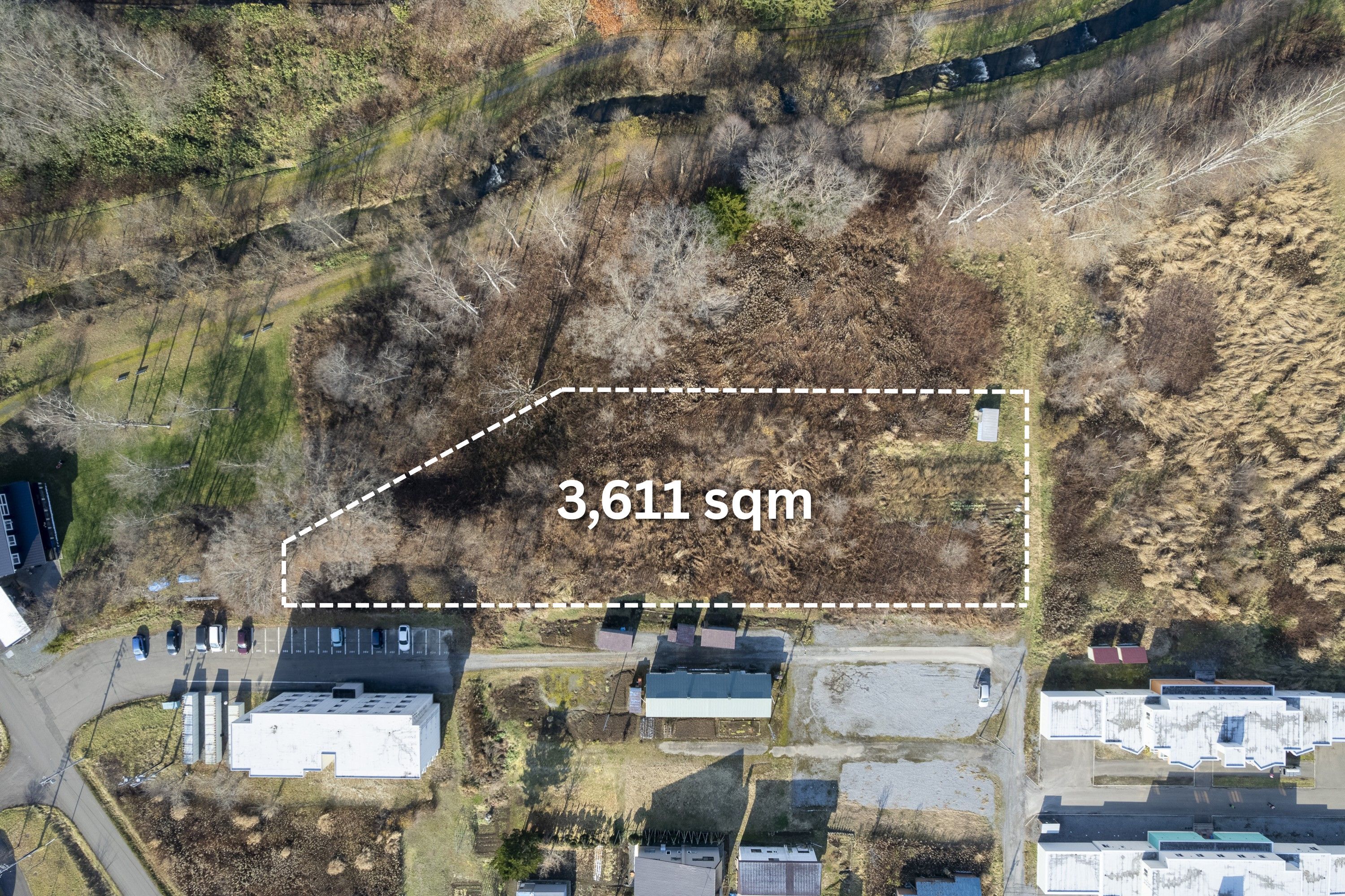 DJI 07032025 Niseko Photography DT