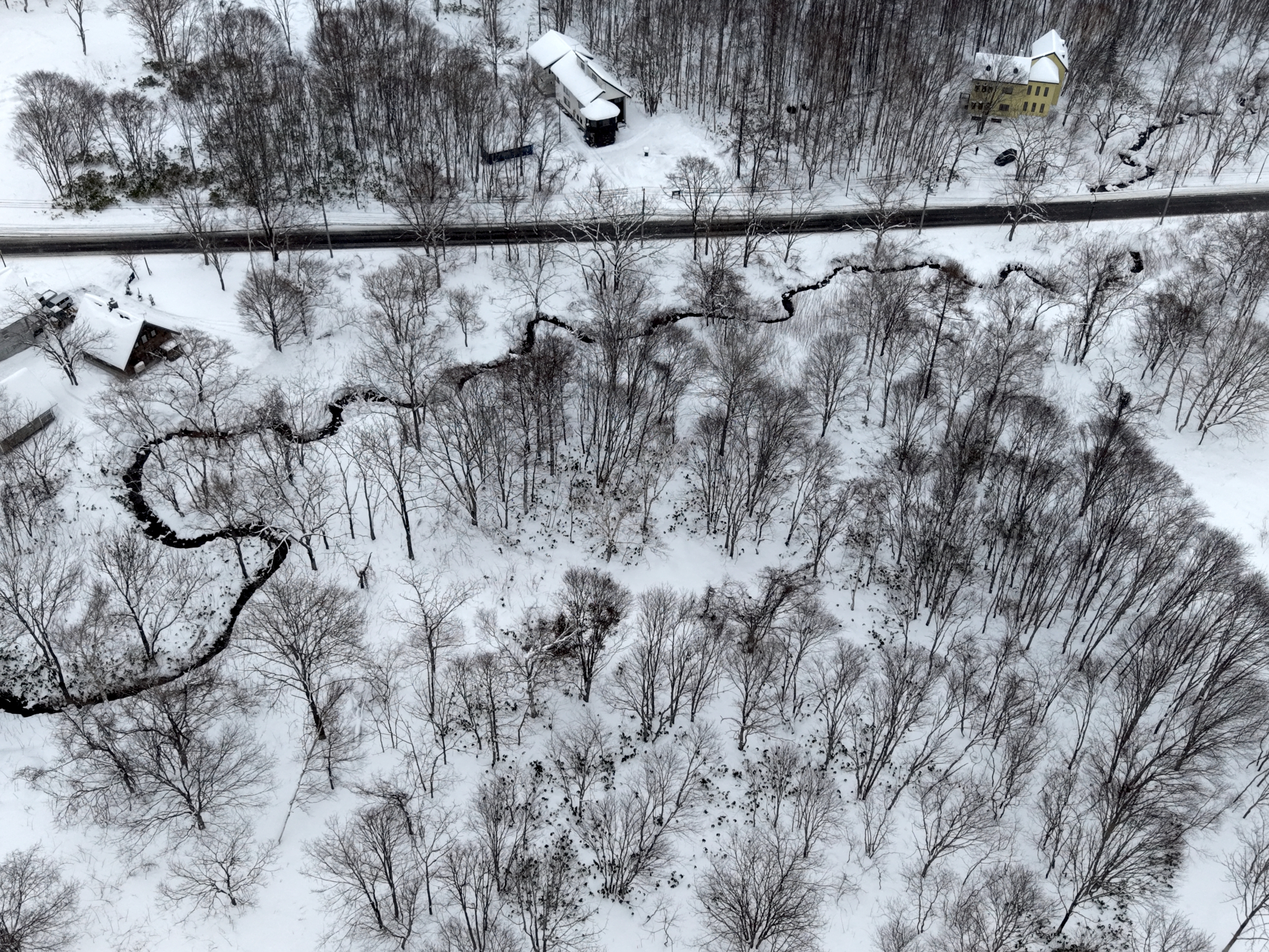 DJI 20251214120826 0016 D