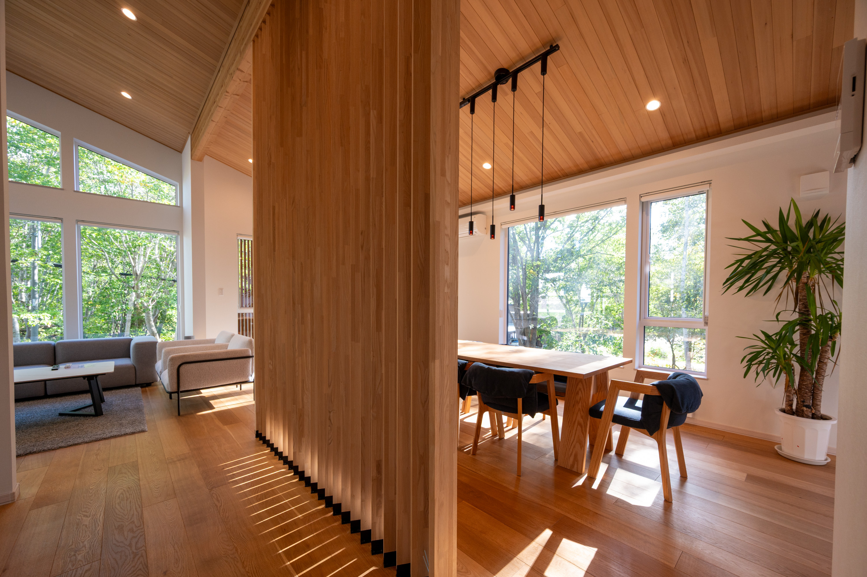 GCP 250927 065 web 3000px