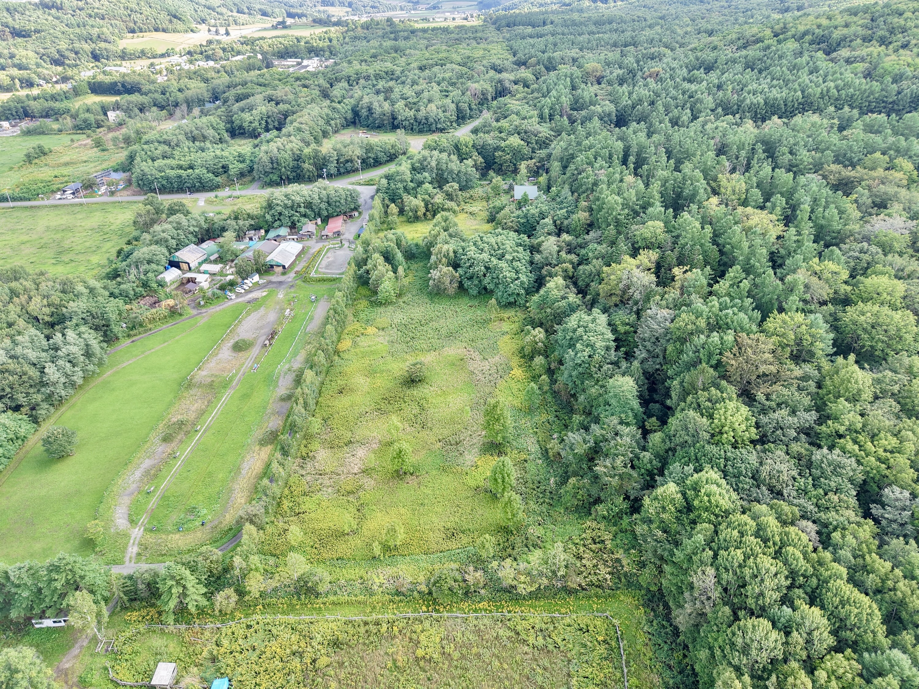 DJI 20250903135822 0055 D