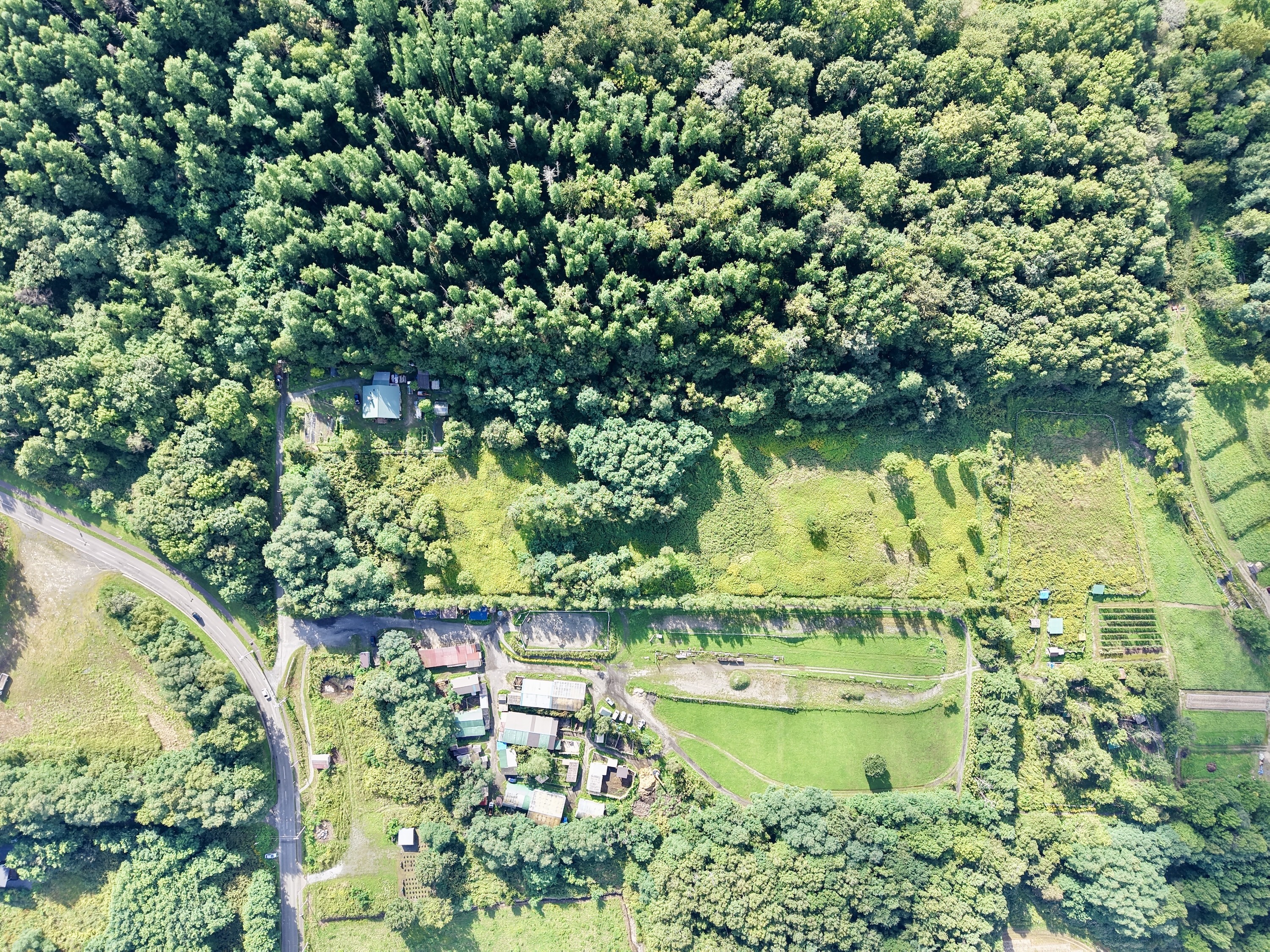 DJI 20250903140341 0062 D 1