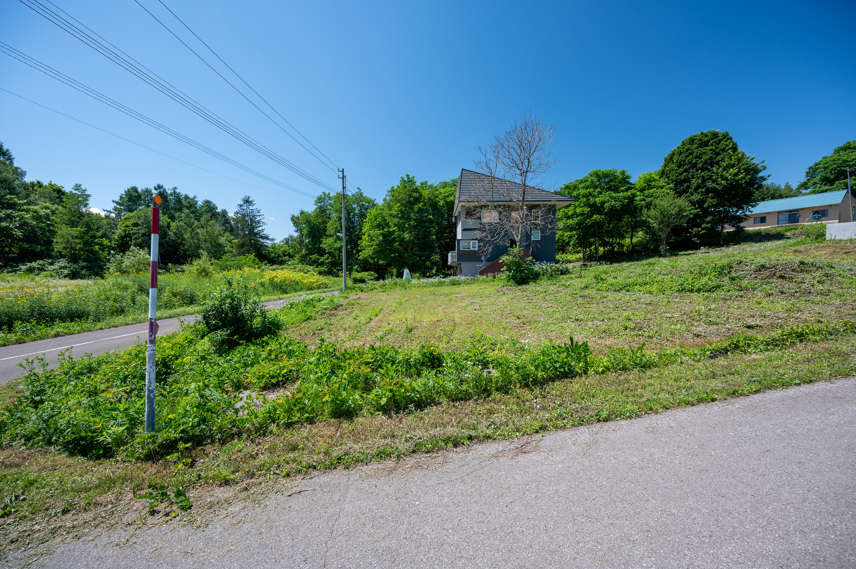 GCP 250724 013 web 3000px