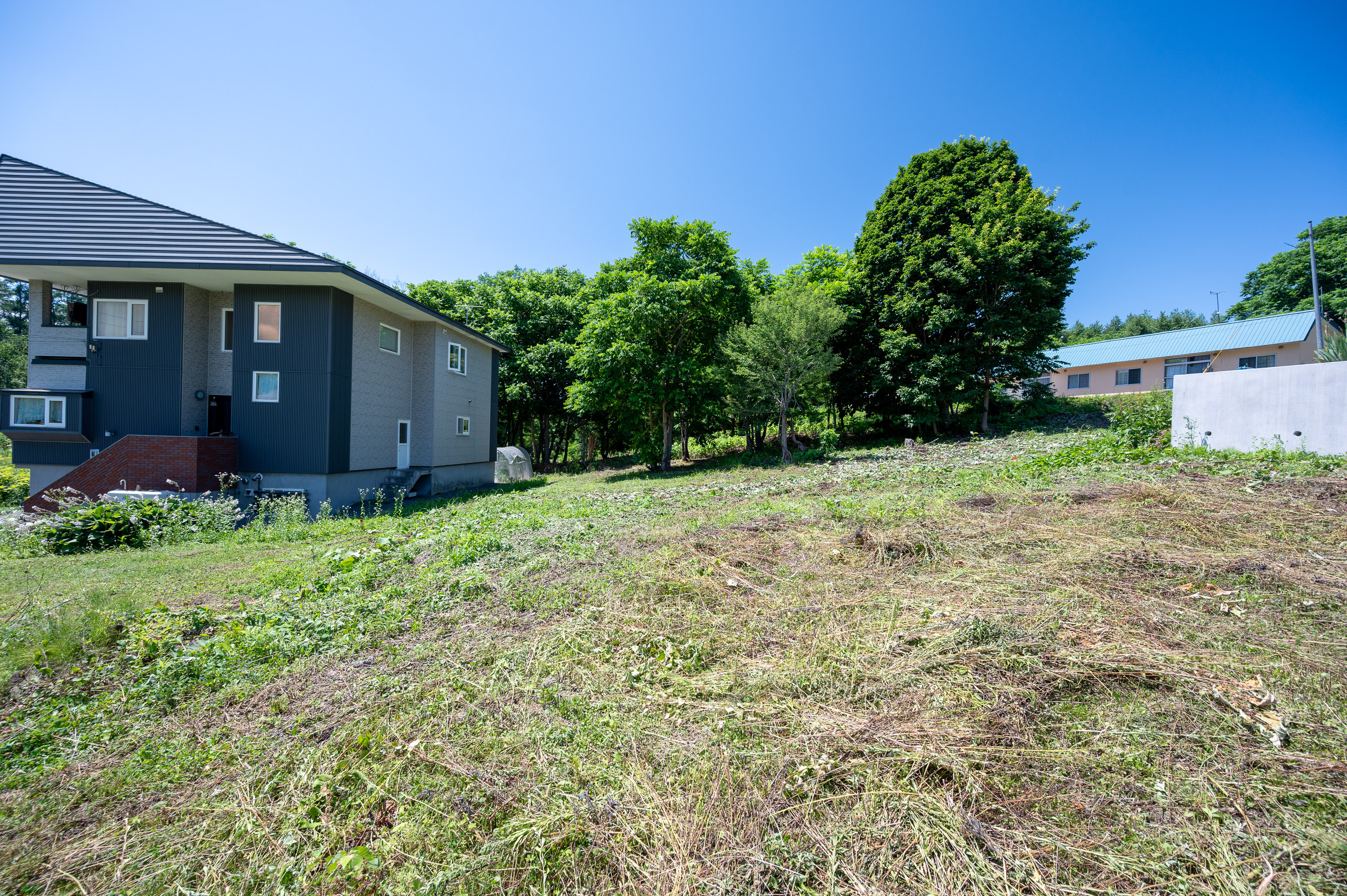 GCP 250724 018 web 3000px