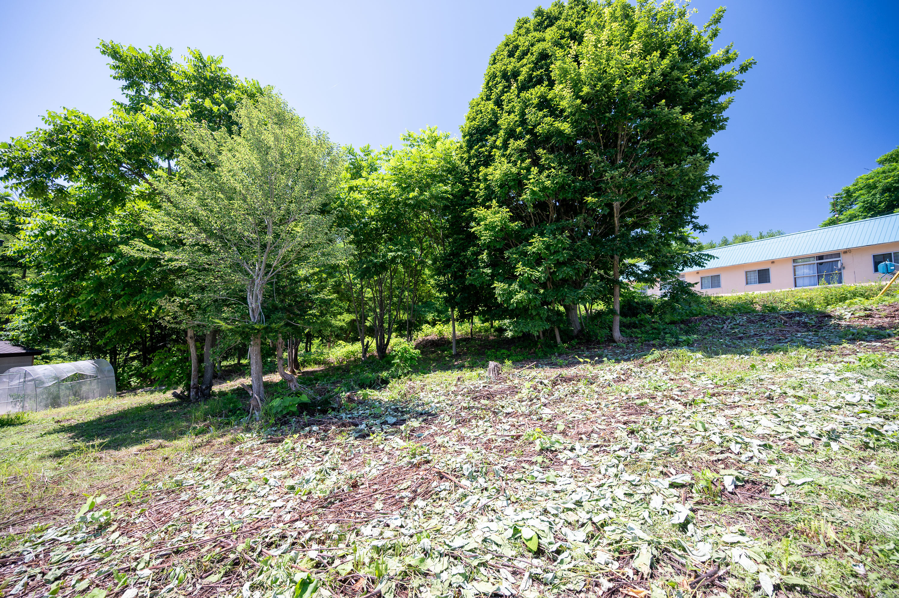 GCP 250724 019 web 3000px