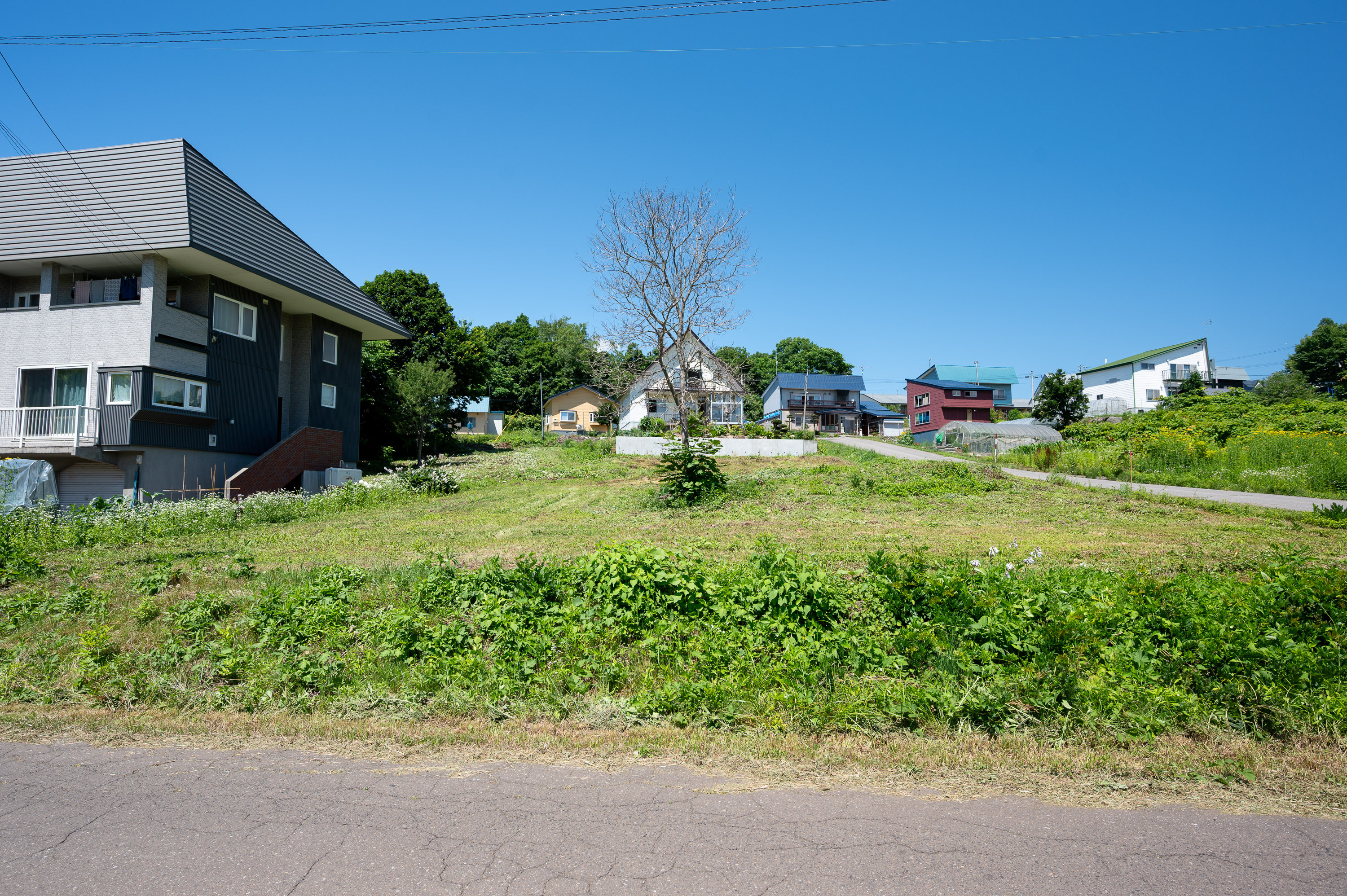 GCP 250724 030 web 3000px