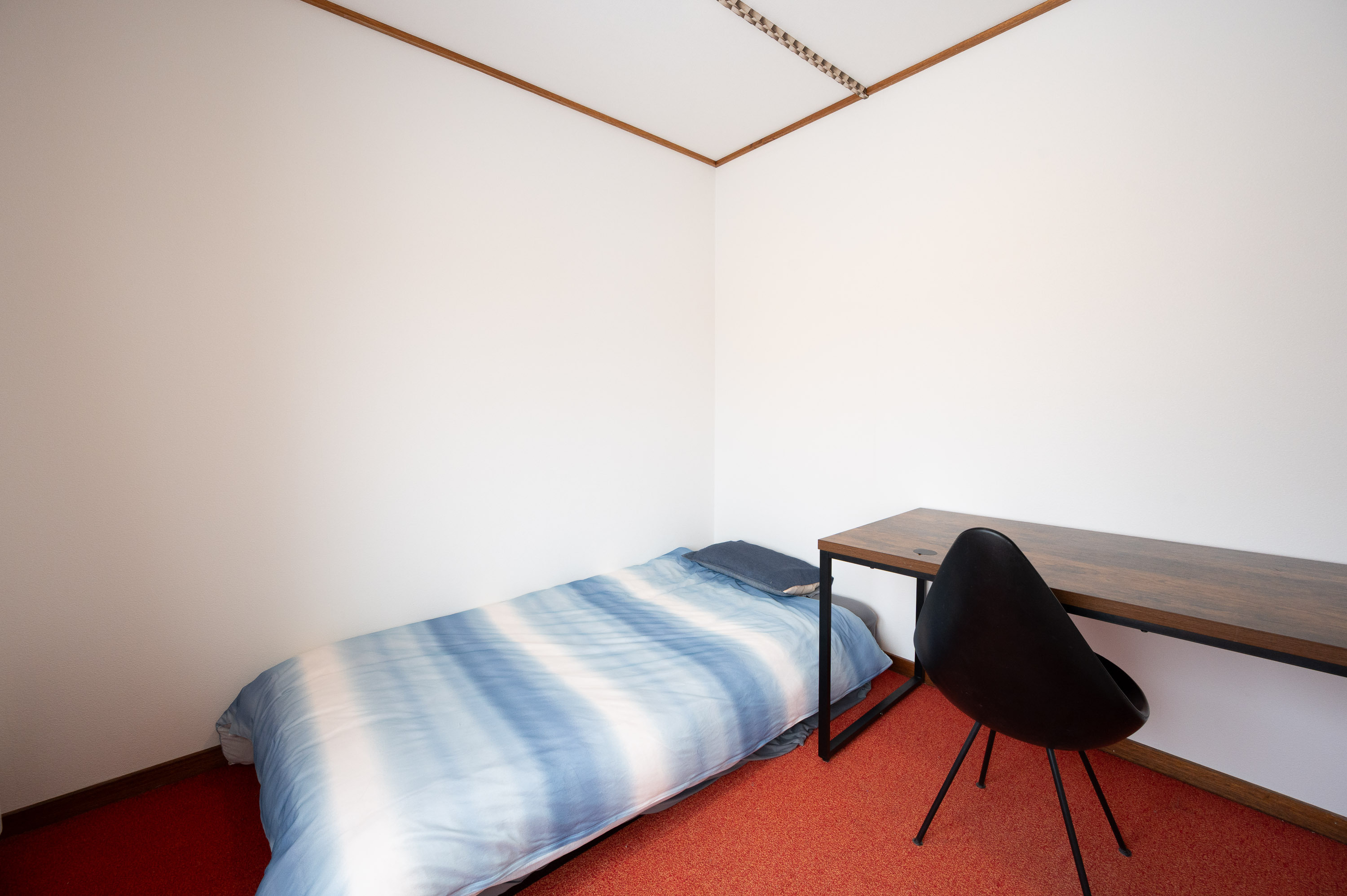 GCP 250331 034 3000px